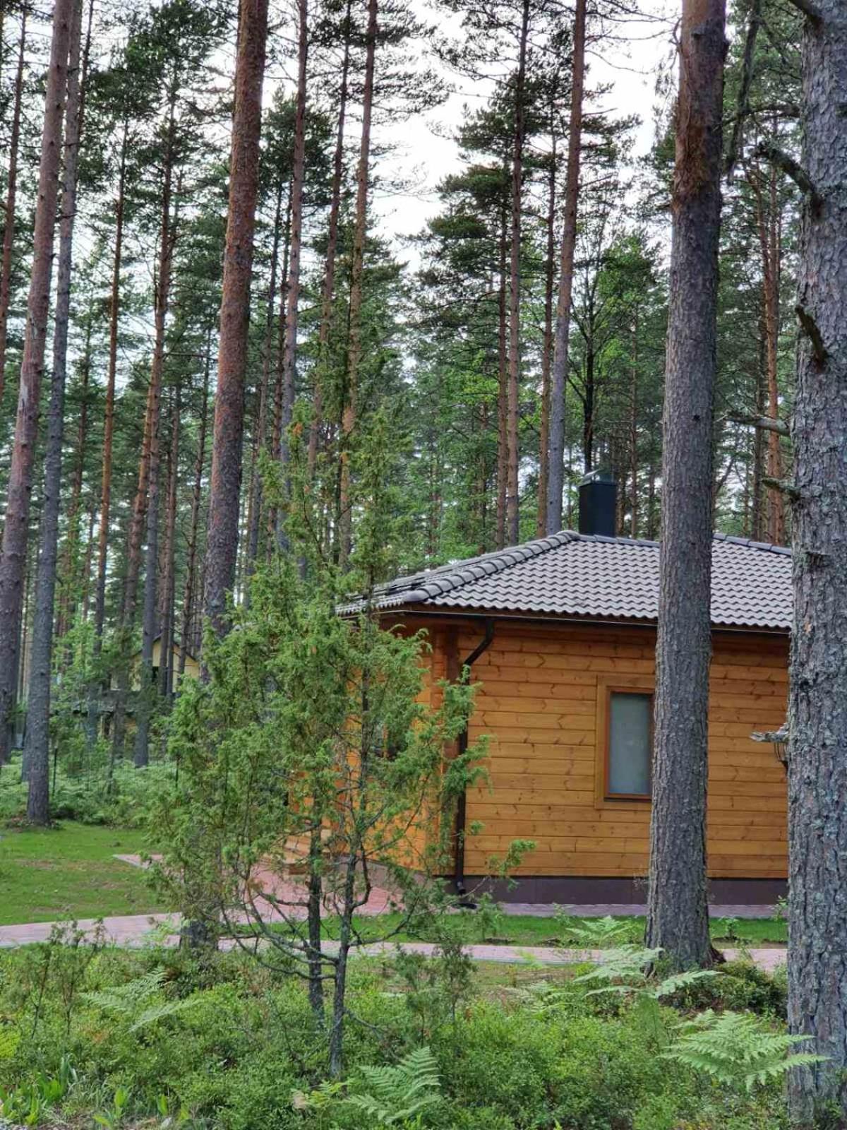 Donar cottage