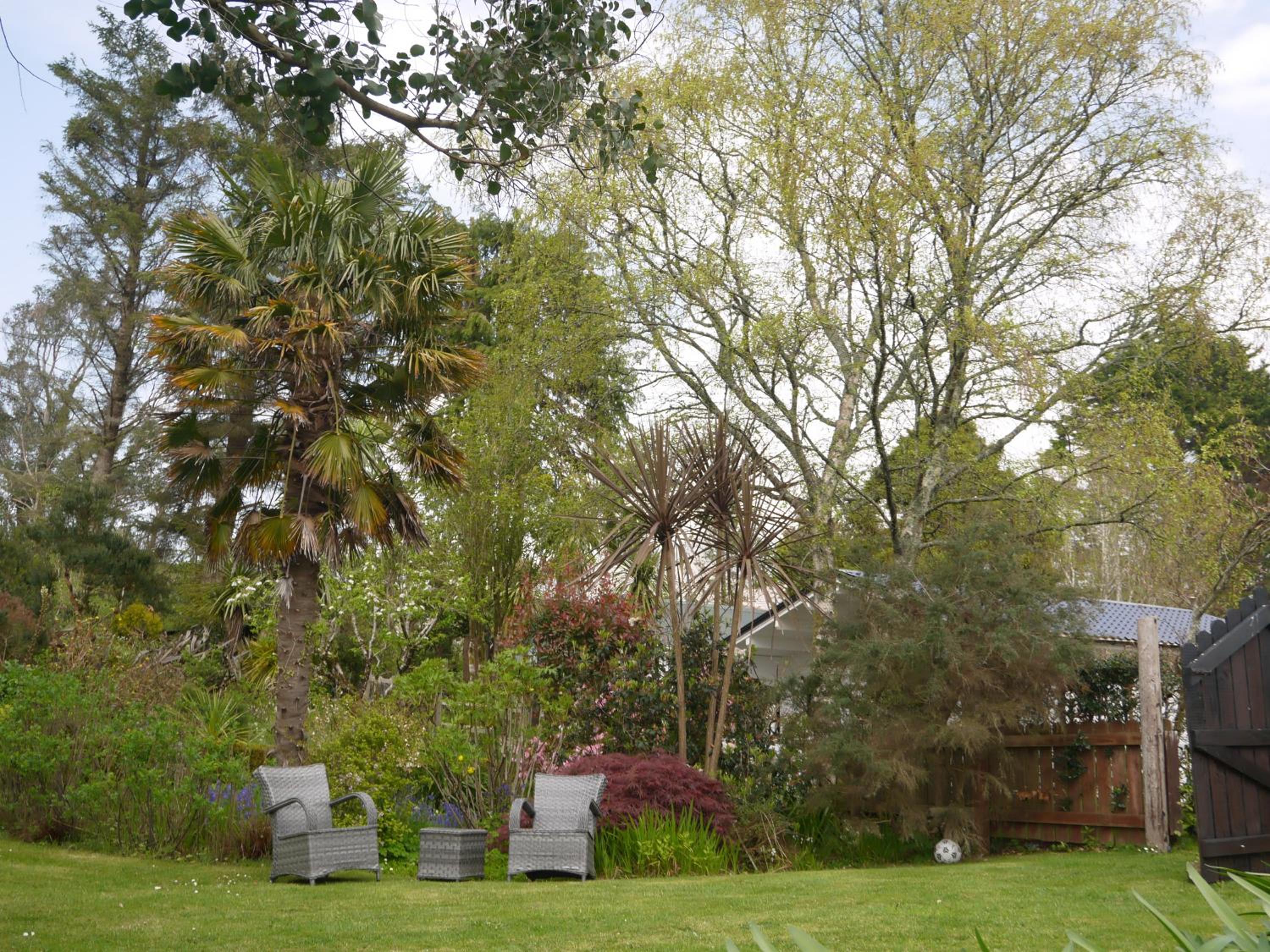Photo 7