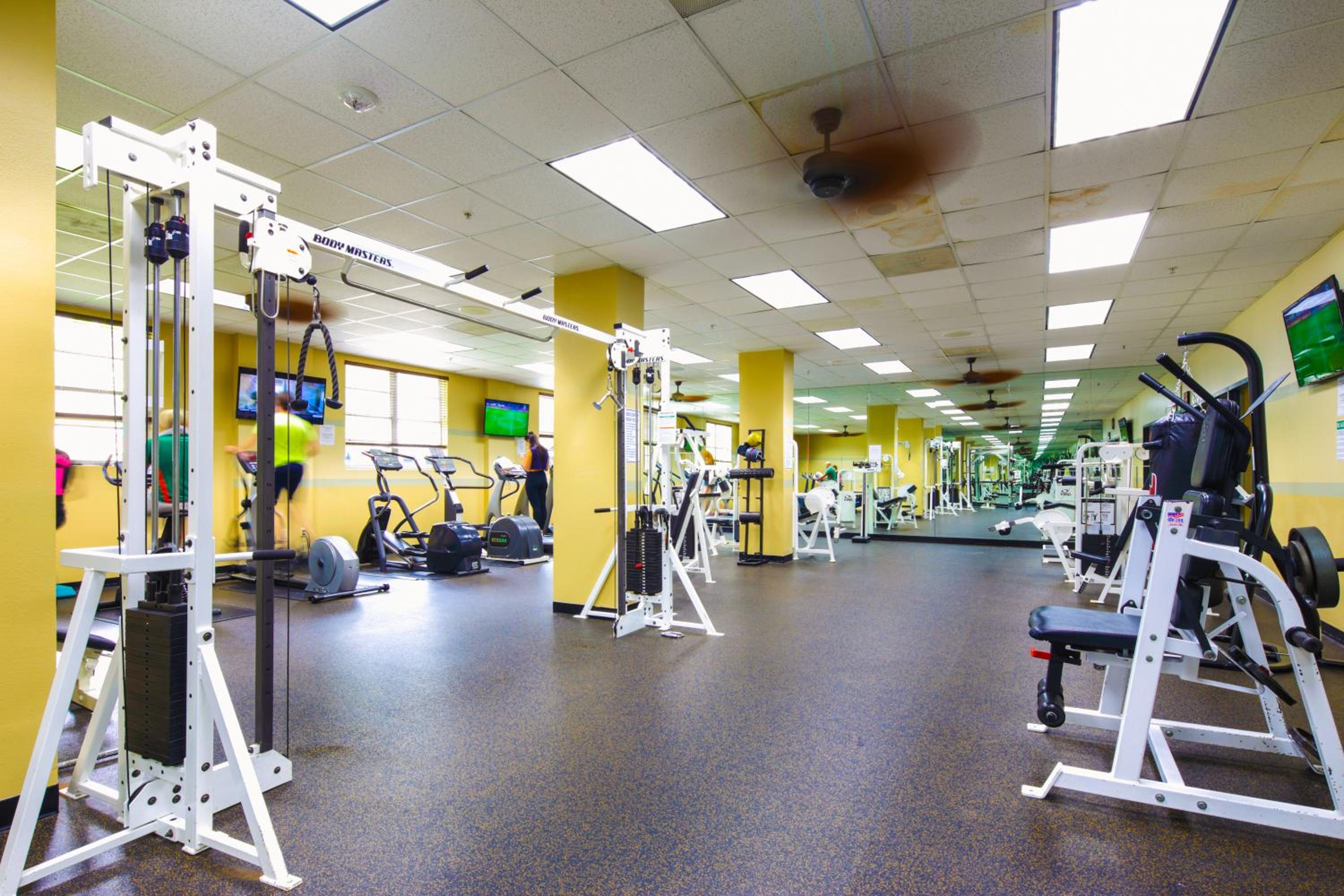 Photo 11