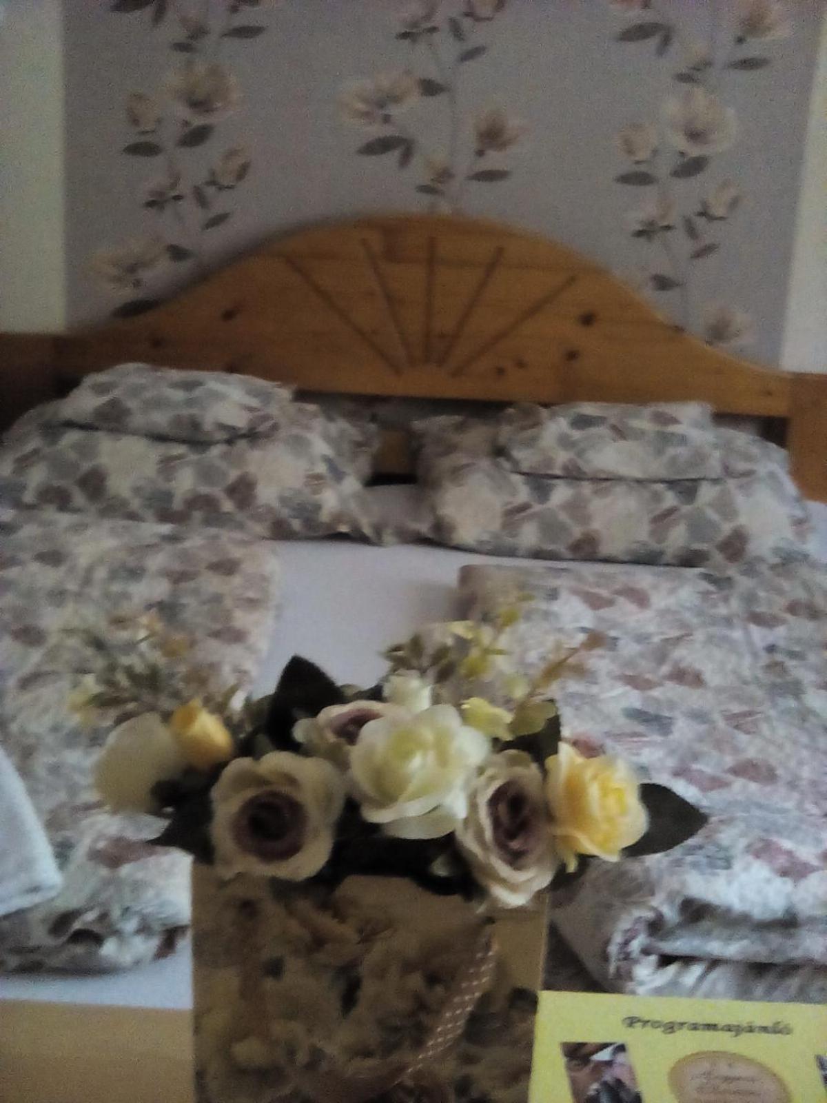 Csilla Apartman view 5