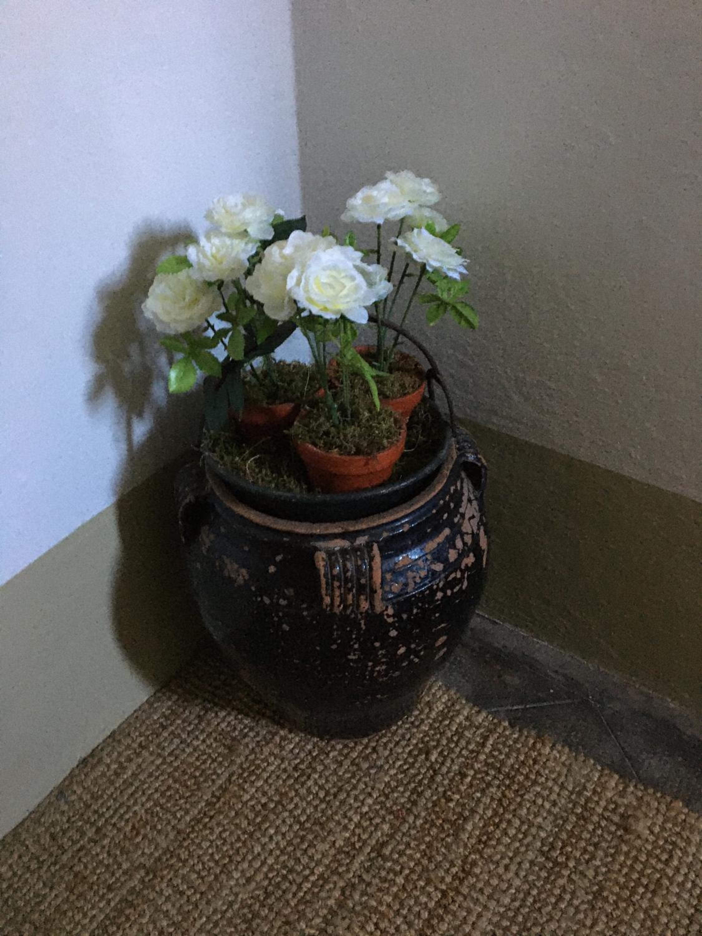 Photo 26