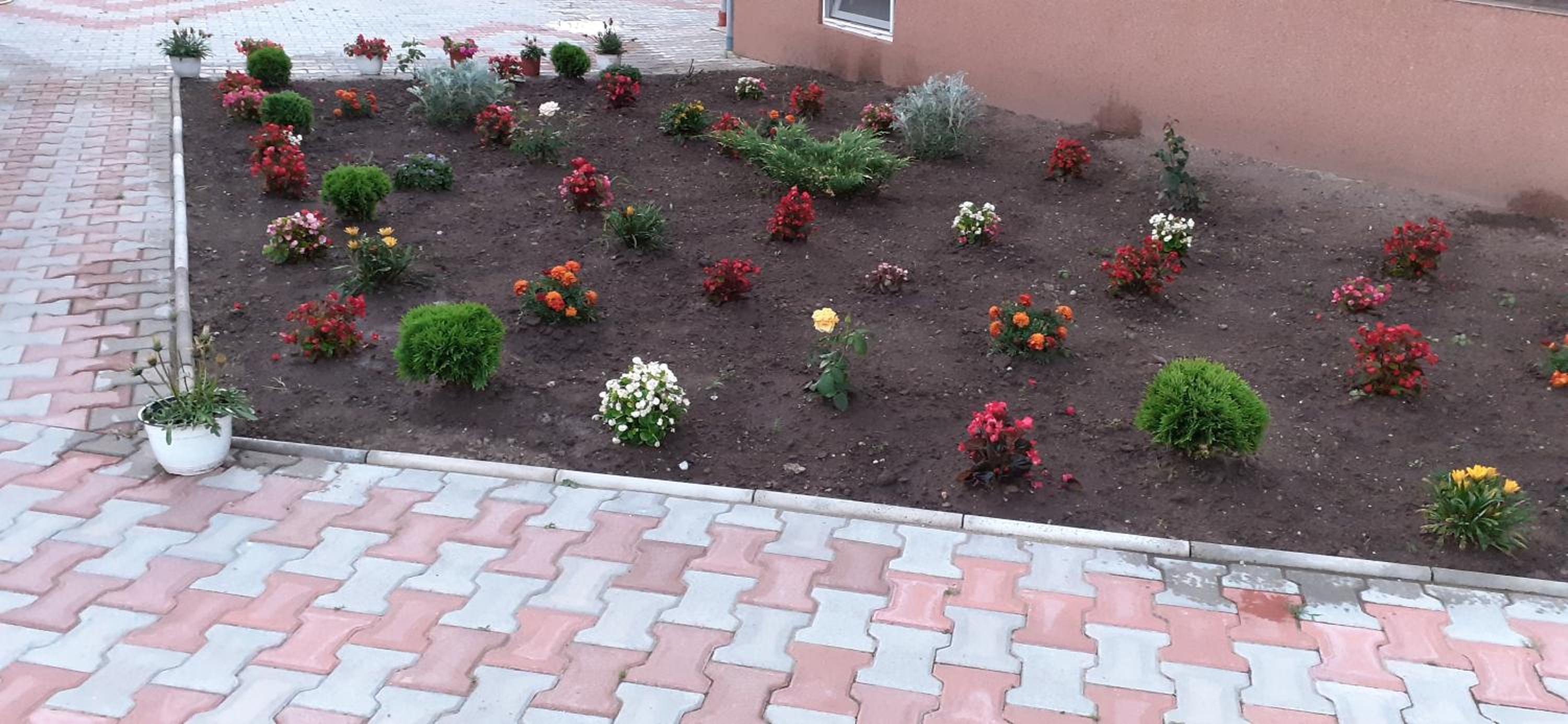 Photo 16