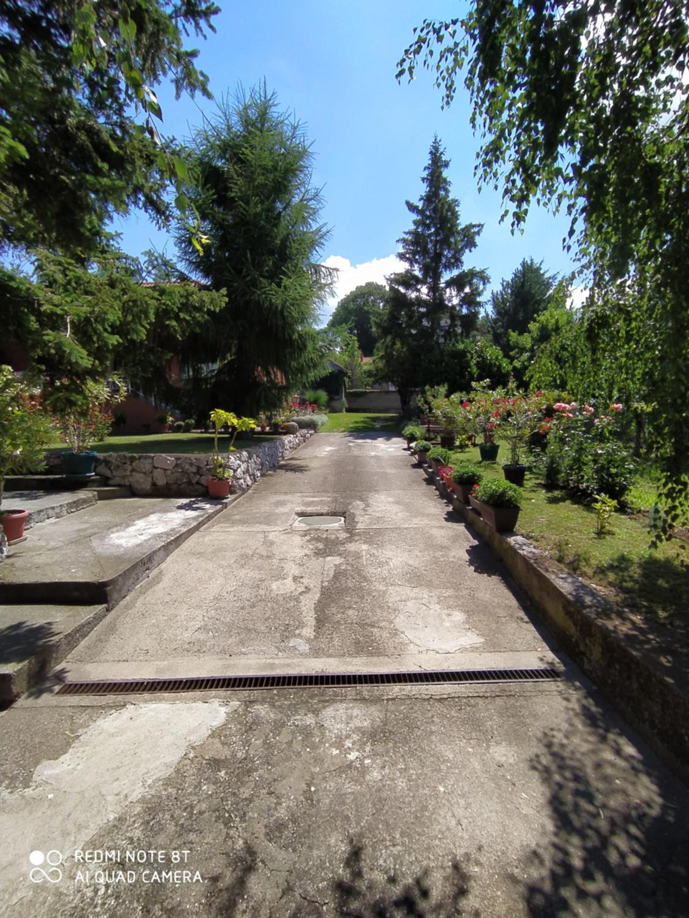 Prenoćište Aleksandar view 2