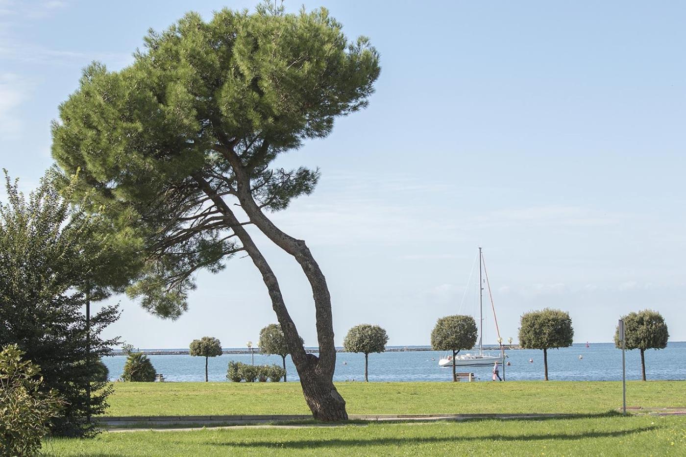 Apartments Villa Nona