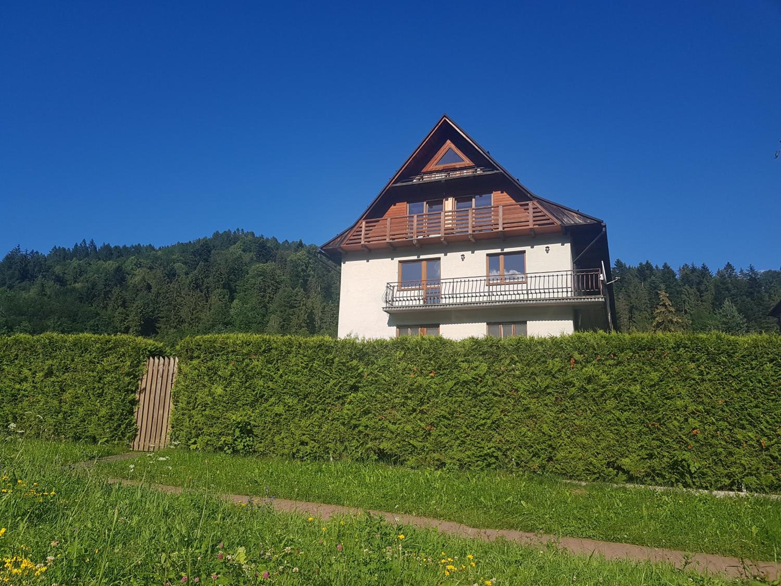 Photo 40