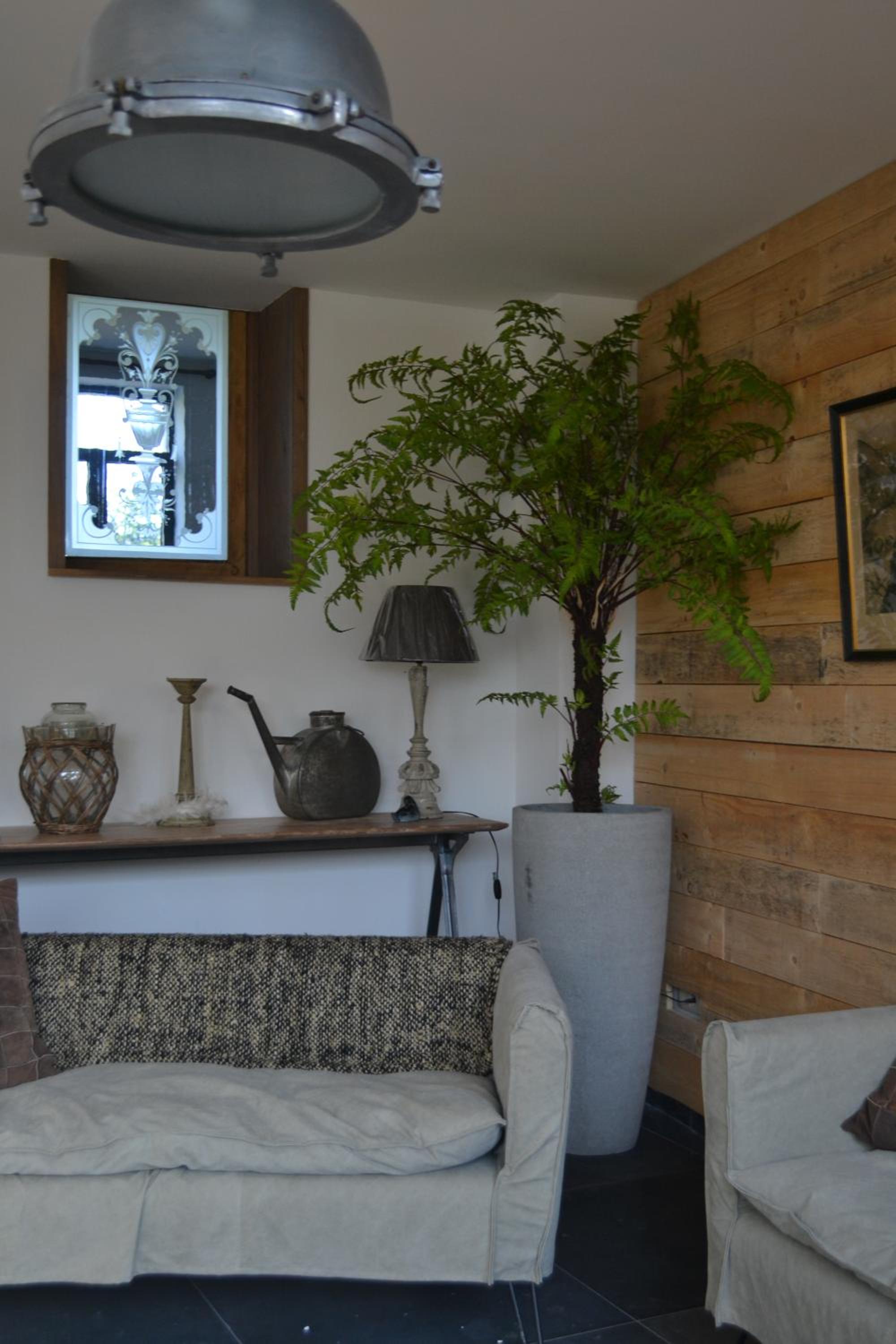 Maison du chien vert