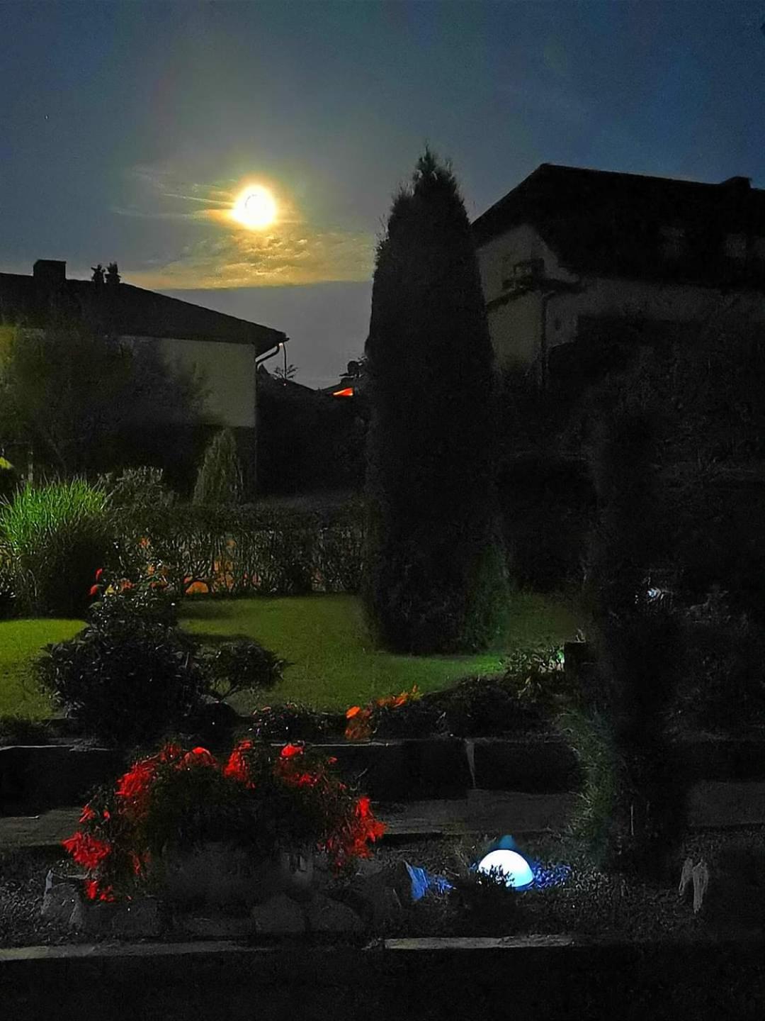 Pension Ramona - Hotel Garni