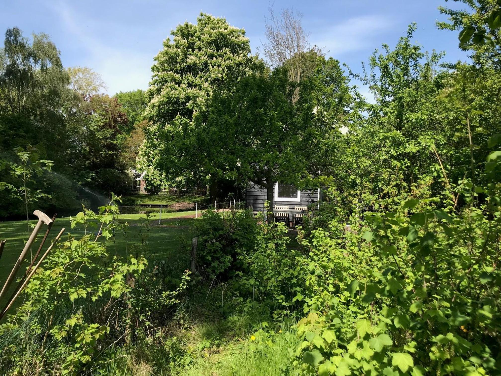 Photo 19