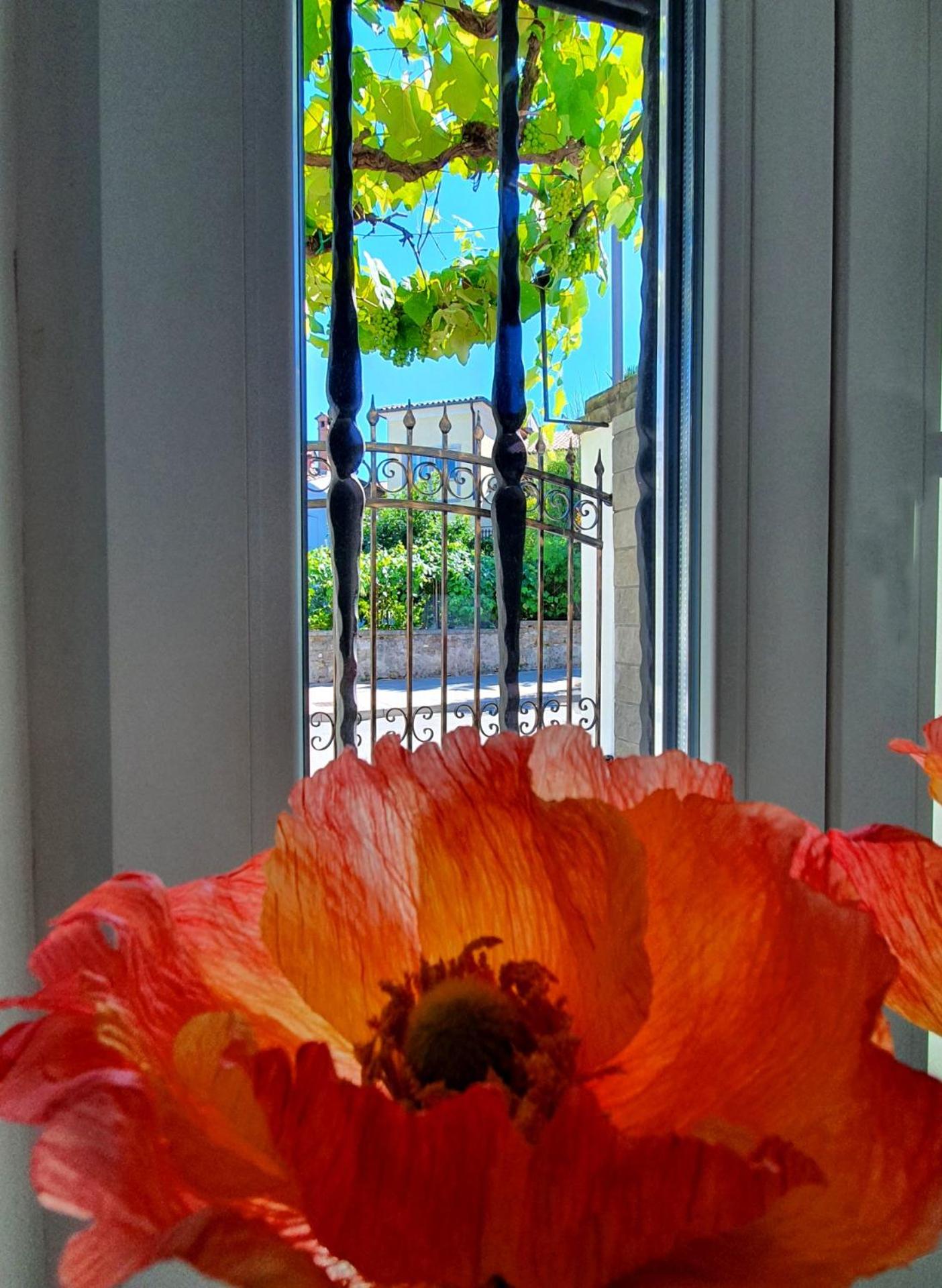 Casa Isabella B&B view 4