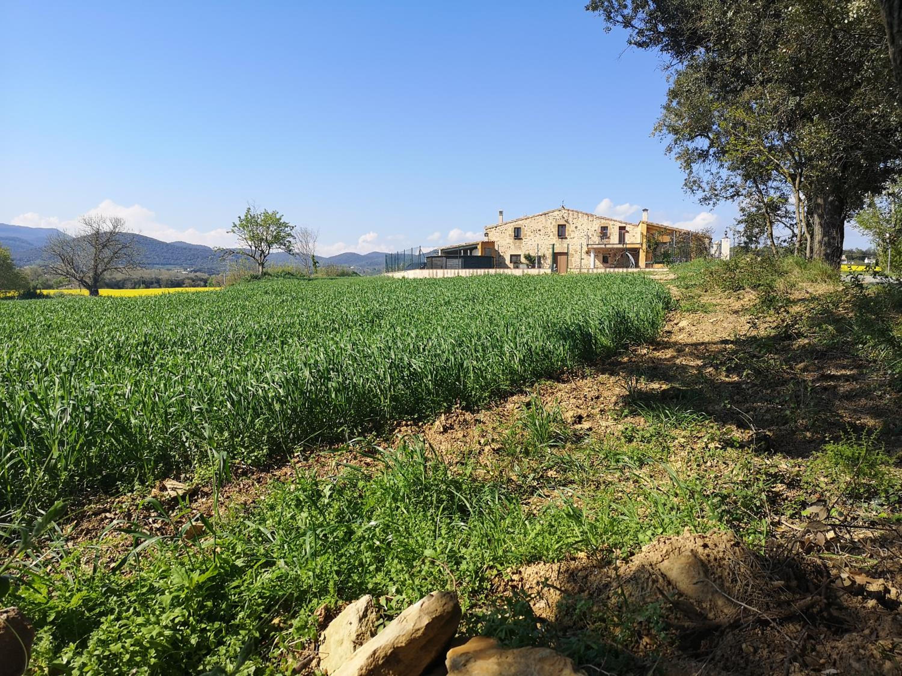Masoveria de Cal Sastre photo 4