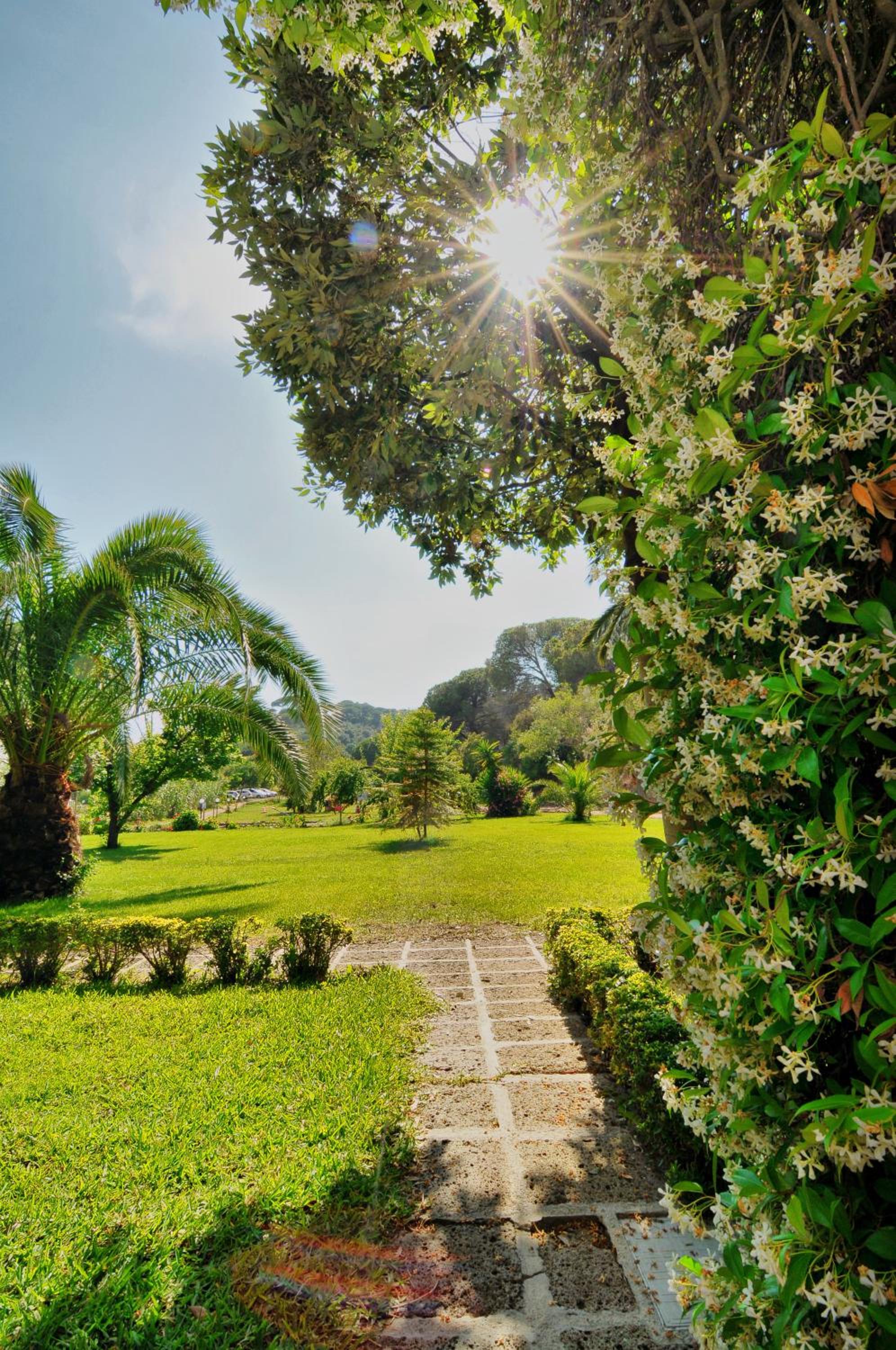 garden