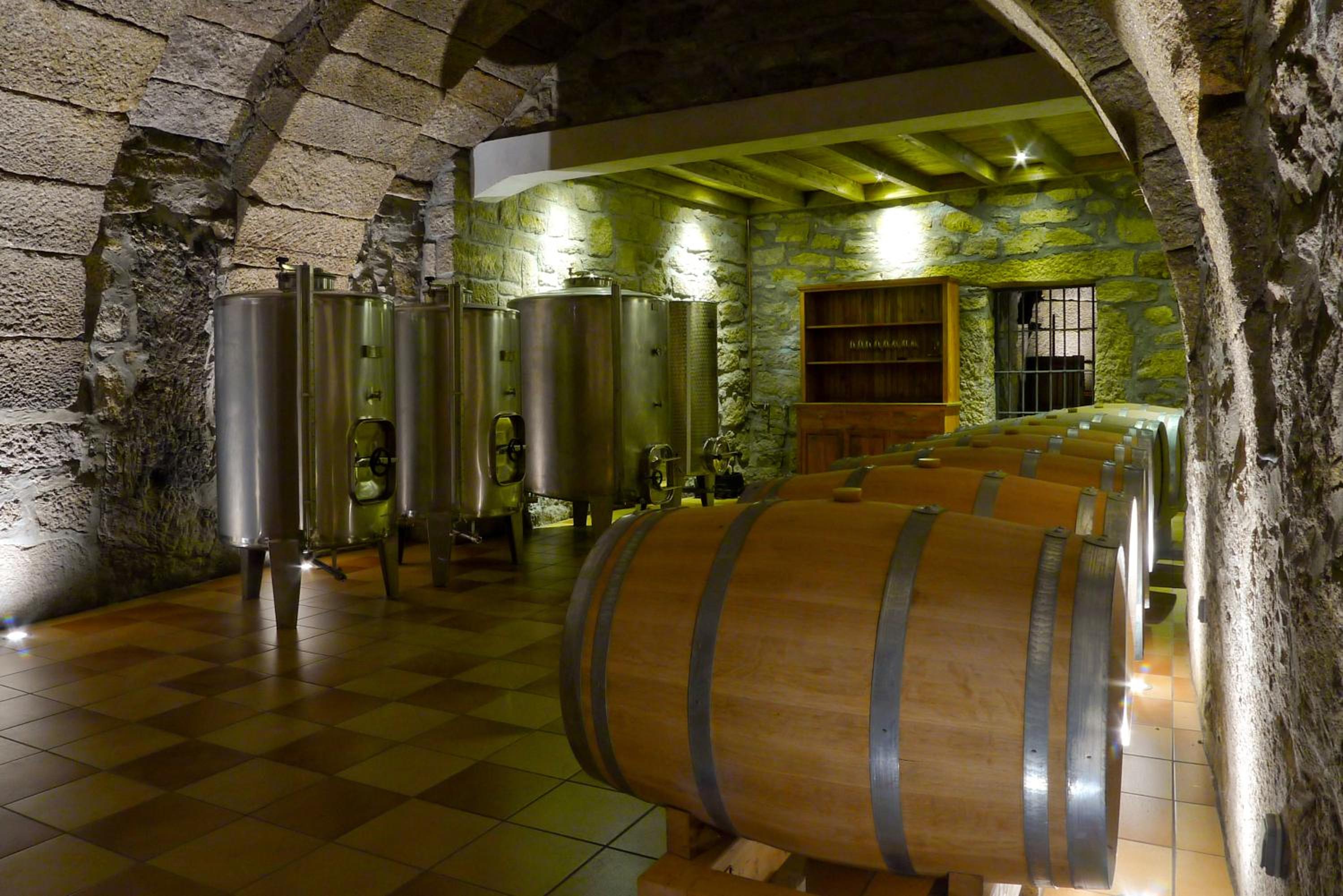 La Casa del Vino
