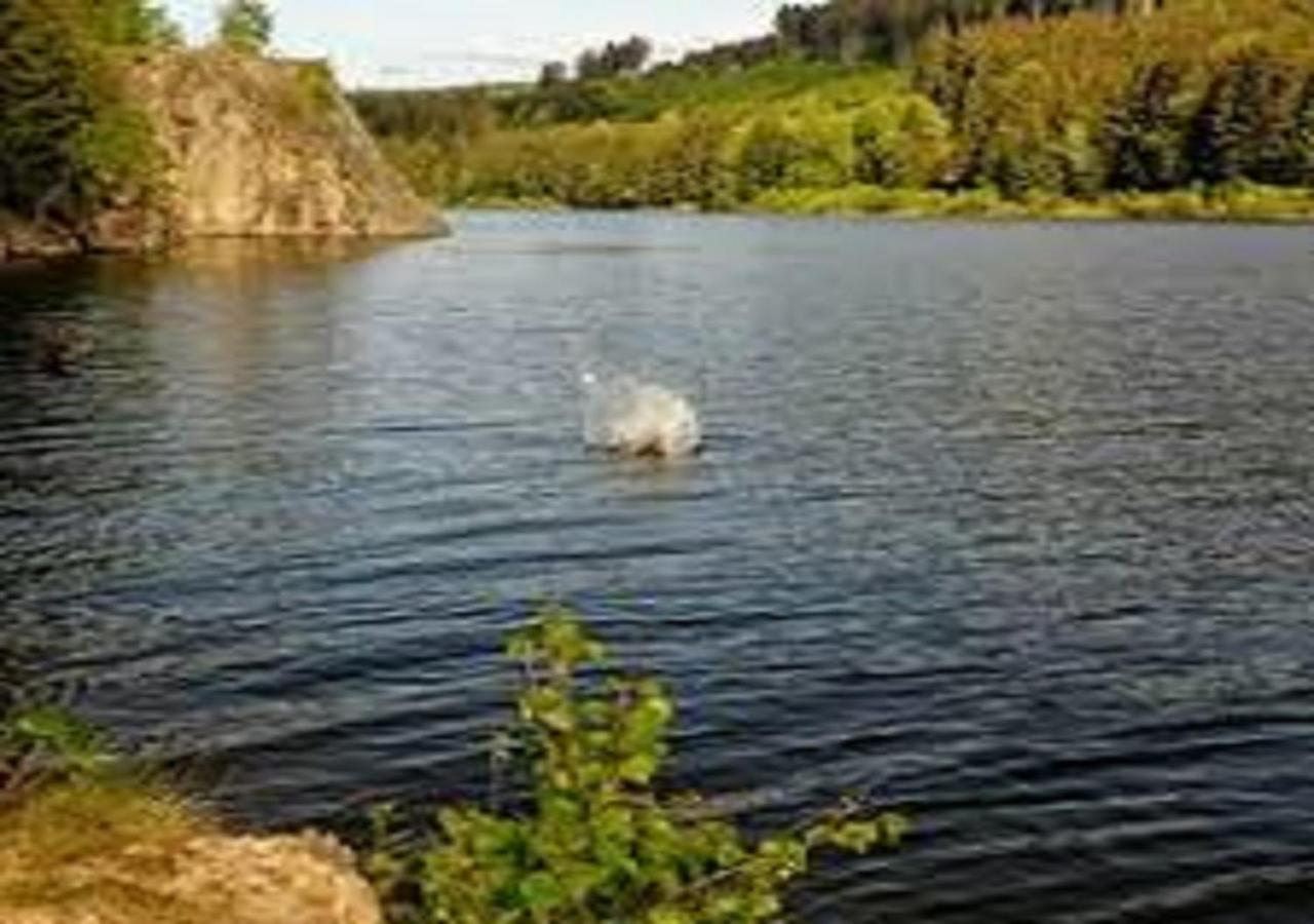 Photo 46