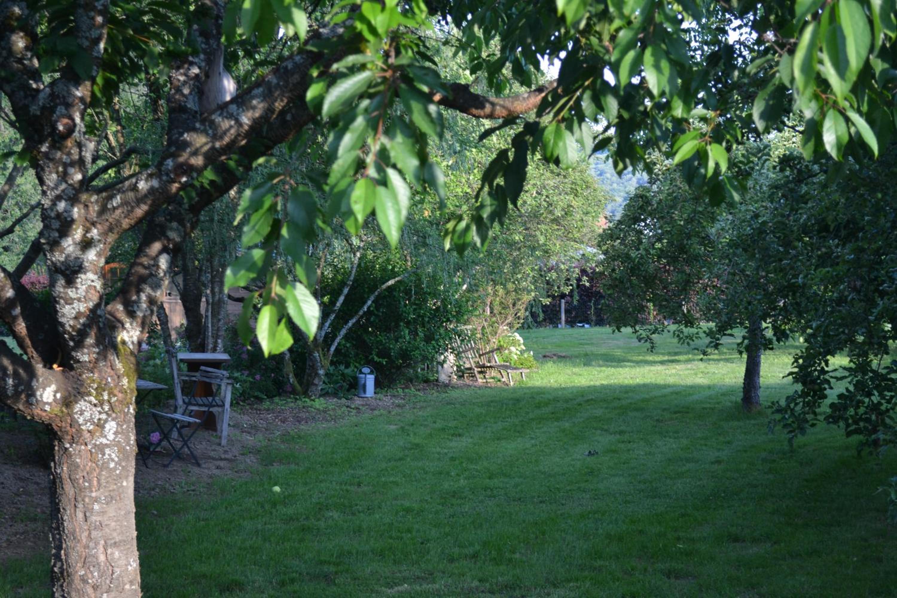 Maison du chien vert