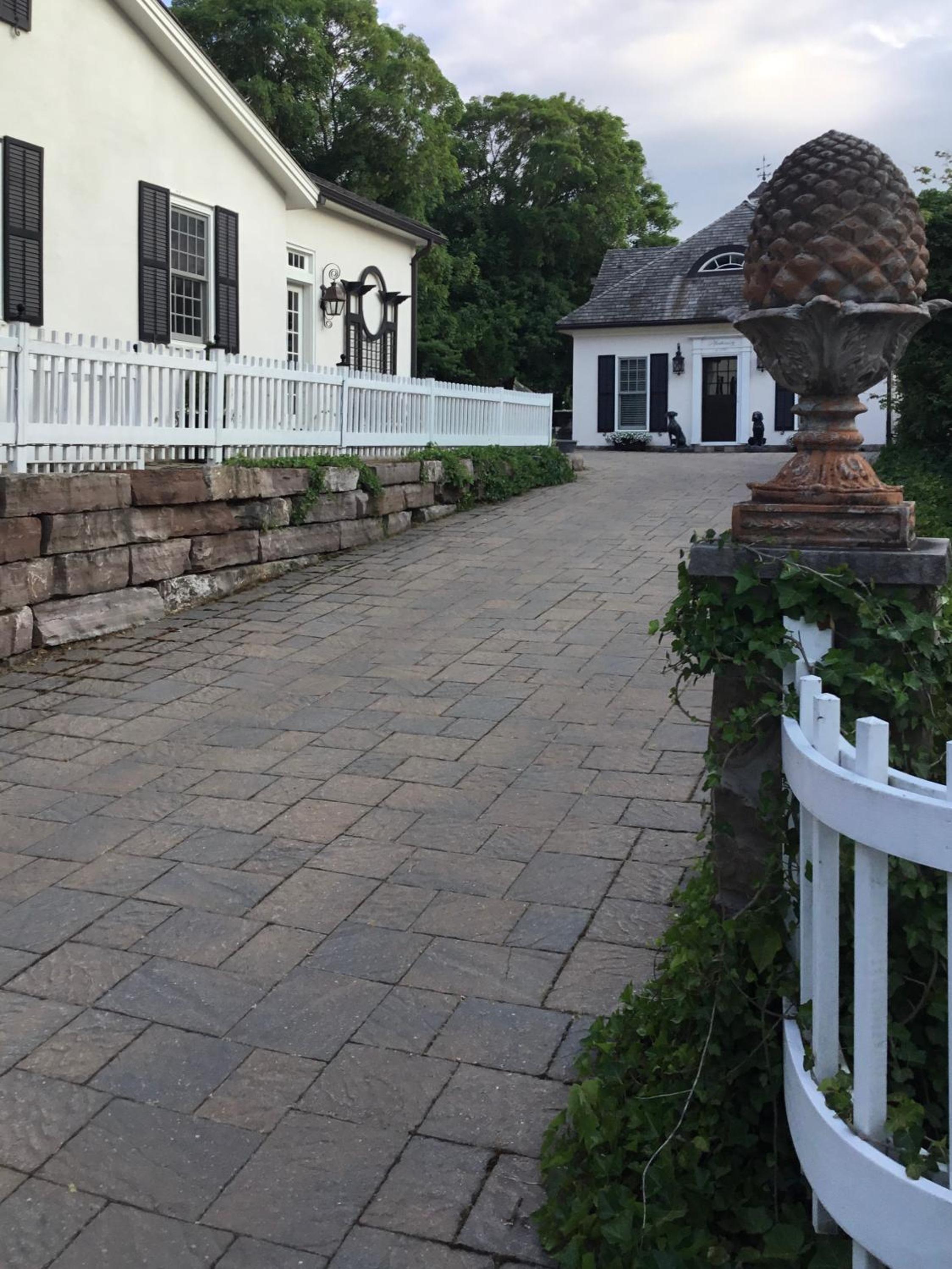 Old Ivy Walk