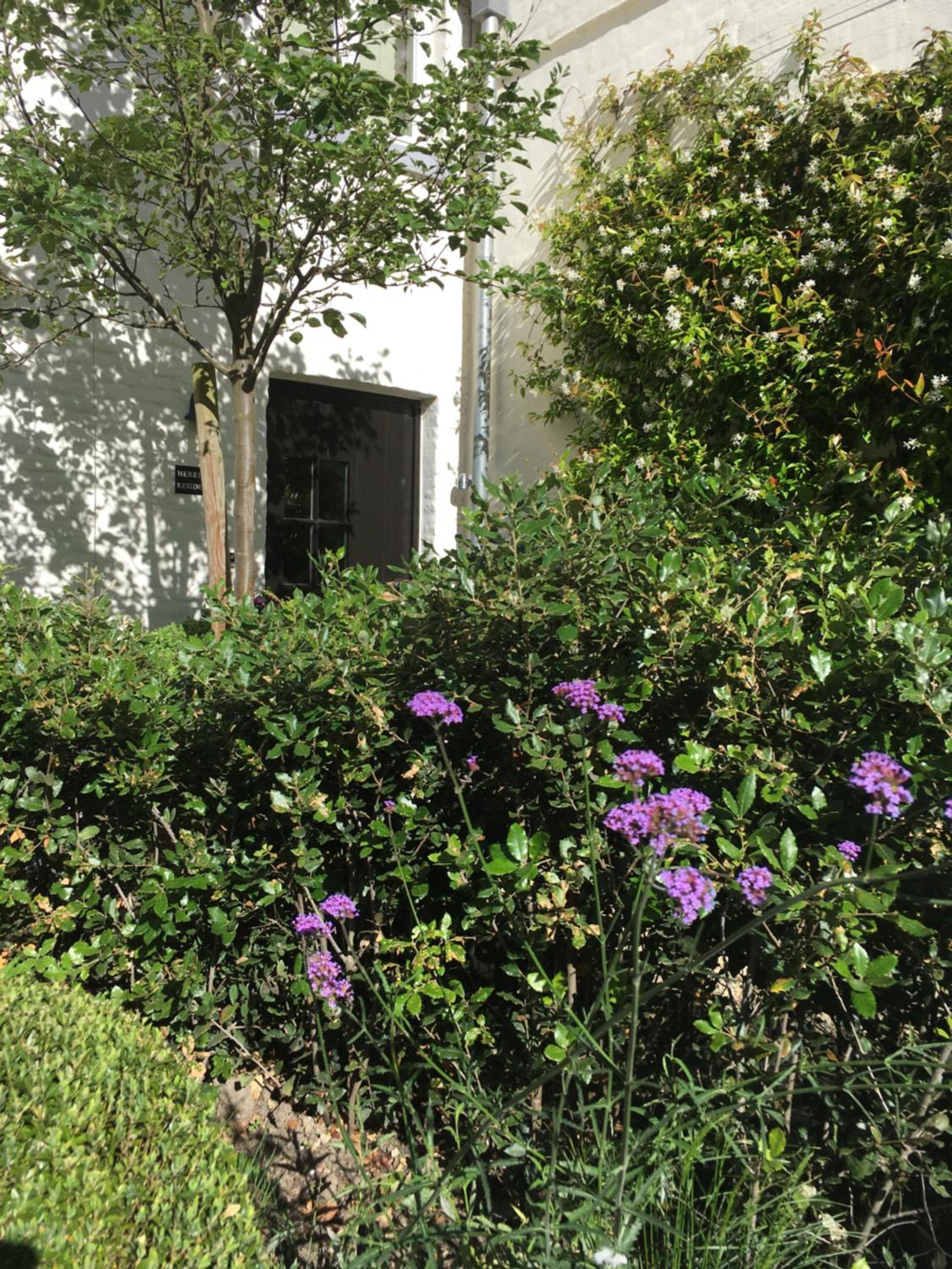 The Herring's Residence - Stylish Private Cottage with Breakfast in Historic Center - Adults-Only