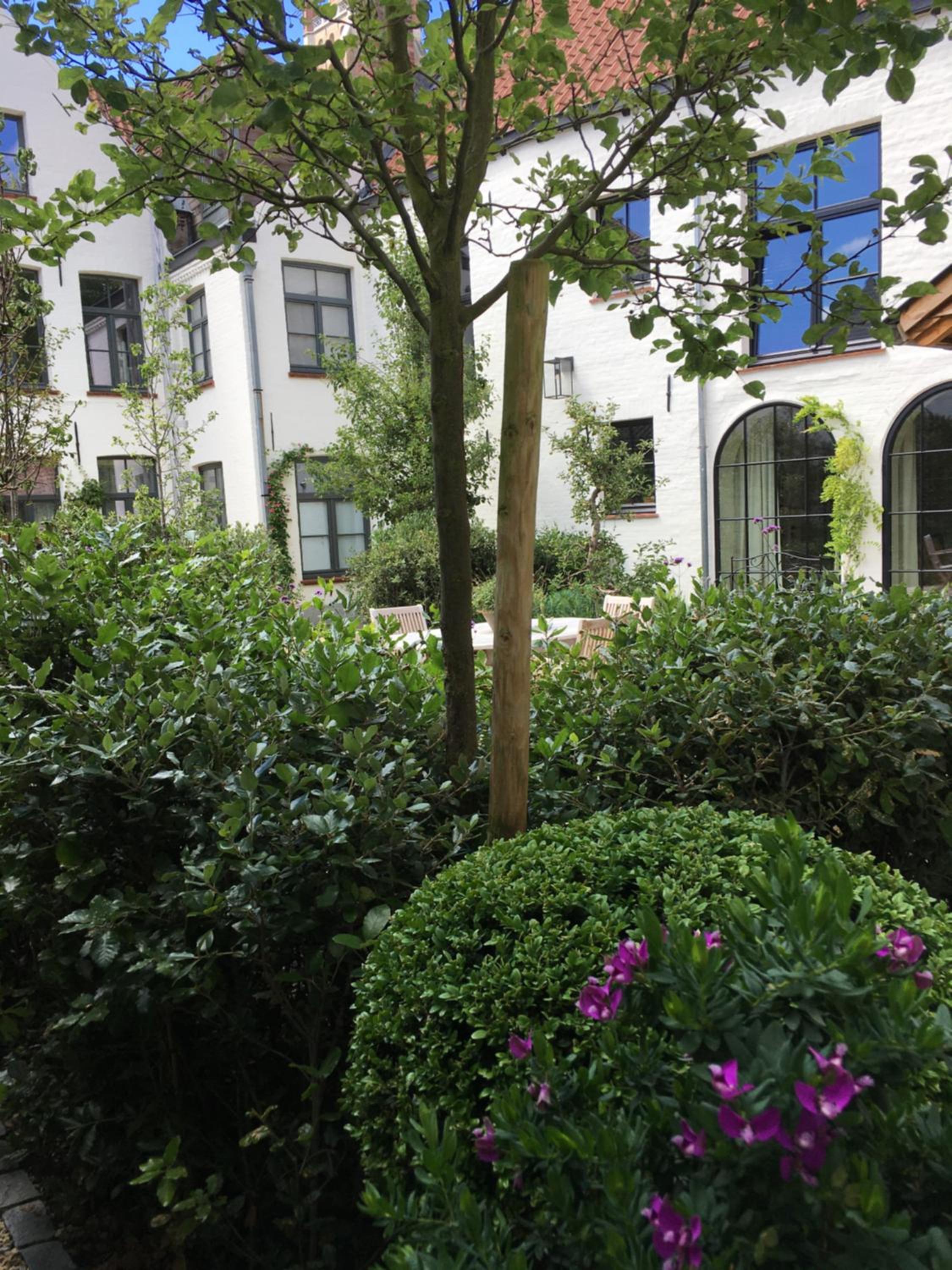 The Herring's Residence - Stylish Private Cottage with Breakfast in Historic Center - Adults-Only