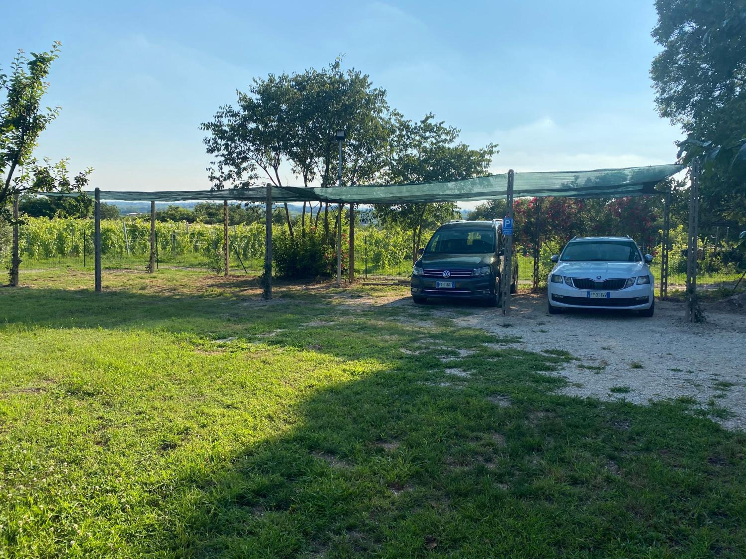 Tenuta EnGi, photo 17