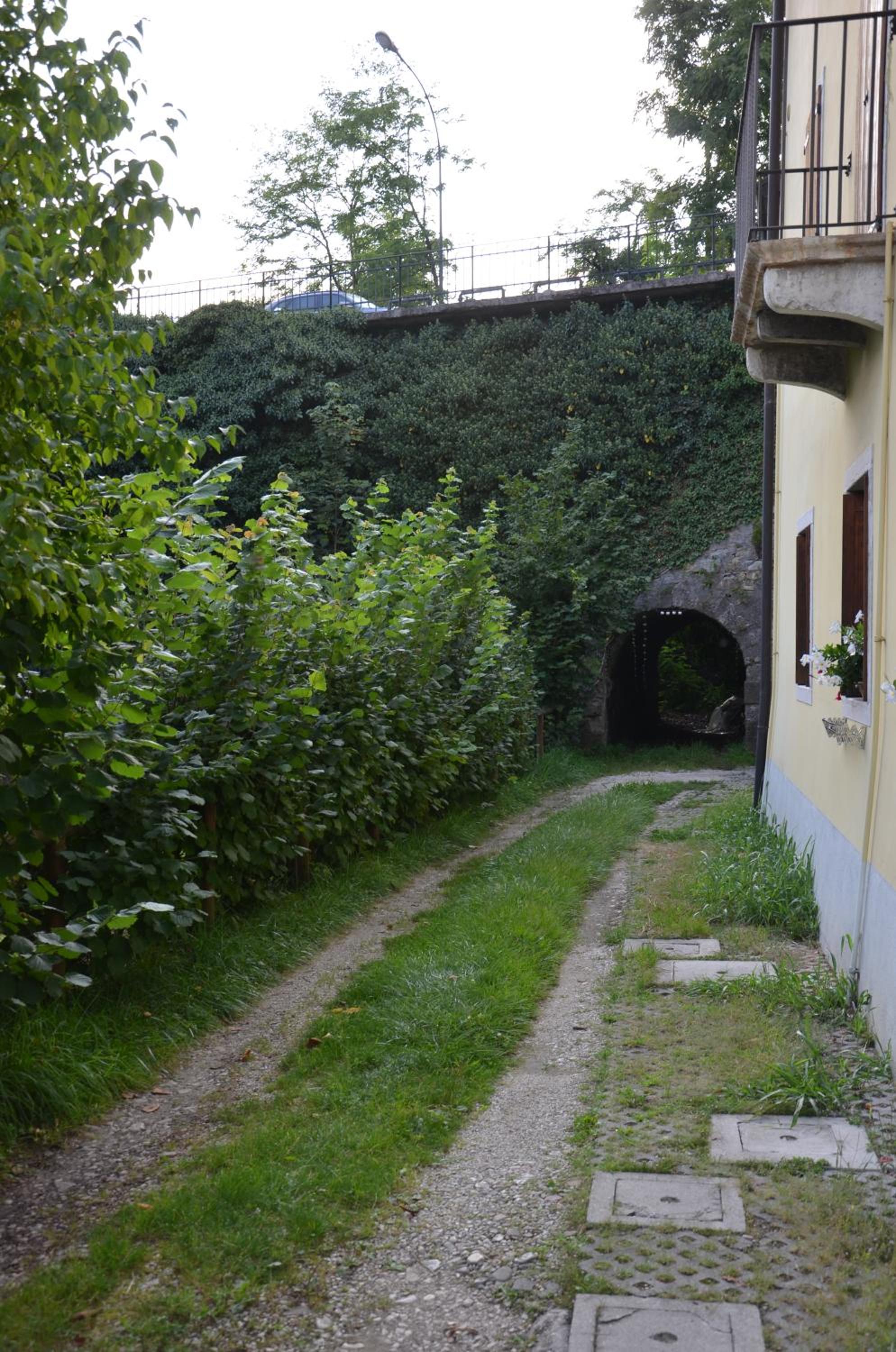 Photo 41