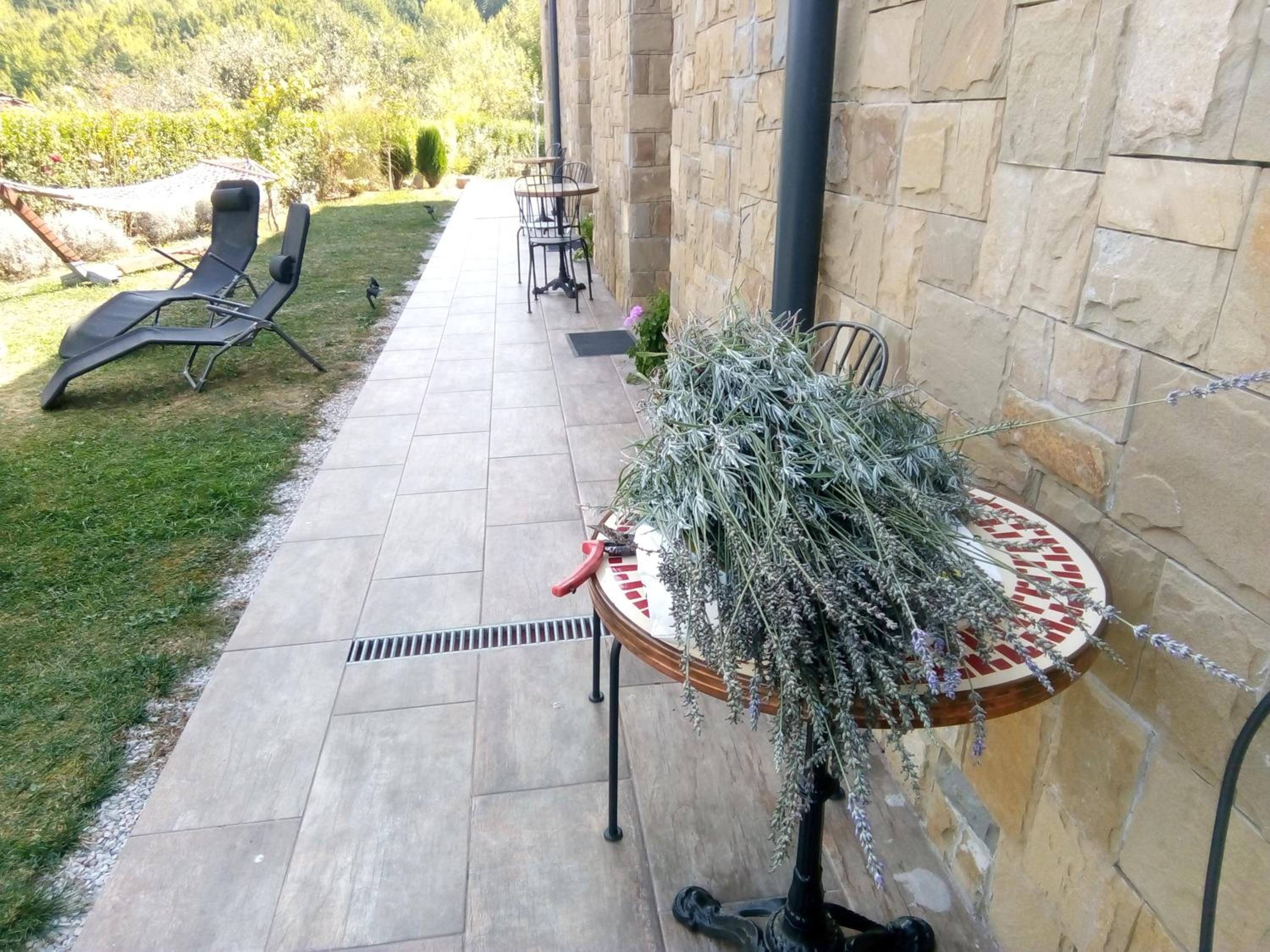 balance & terrace