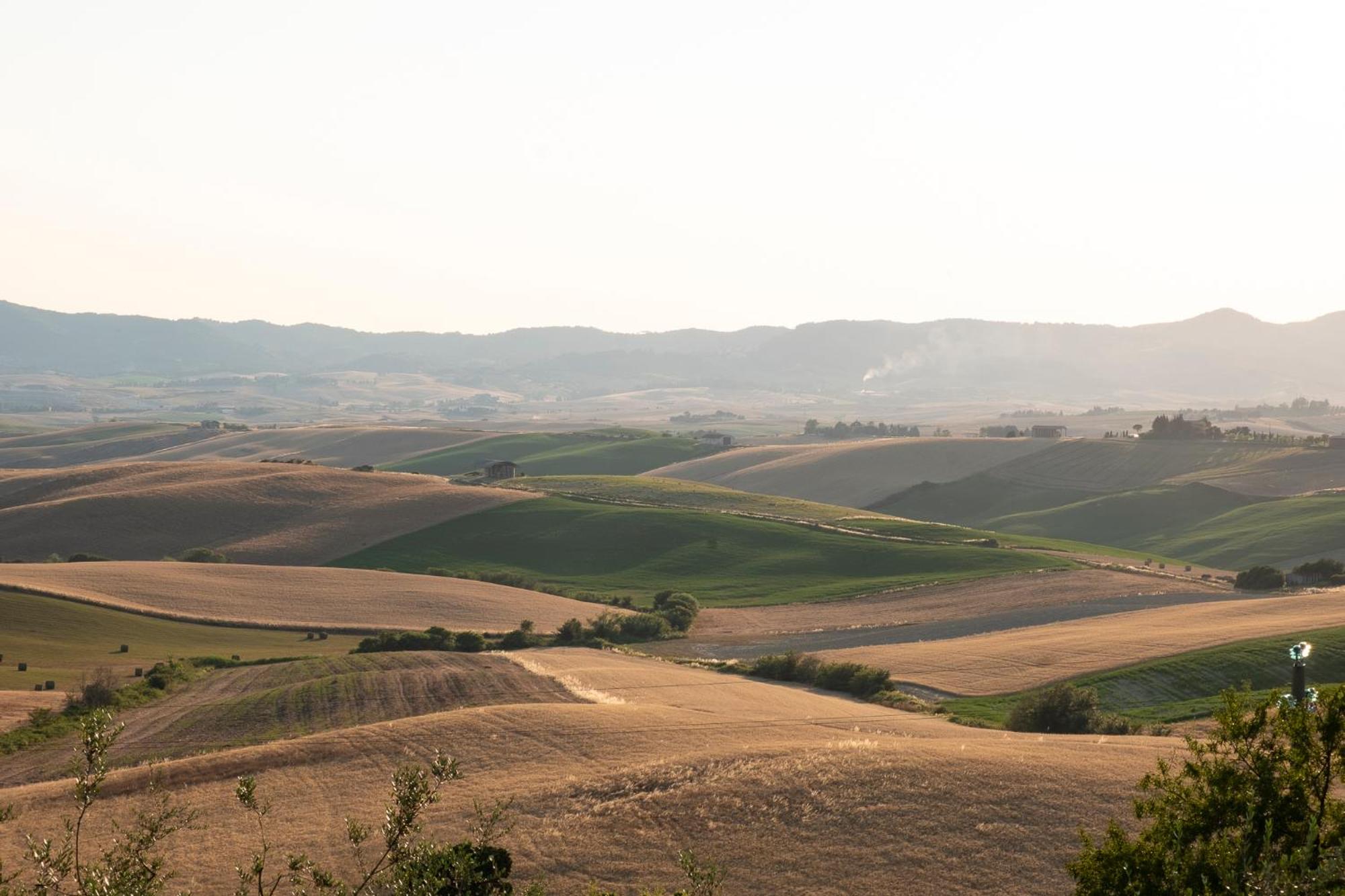 Photo 45
