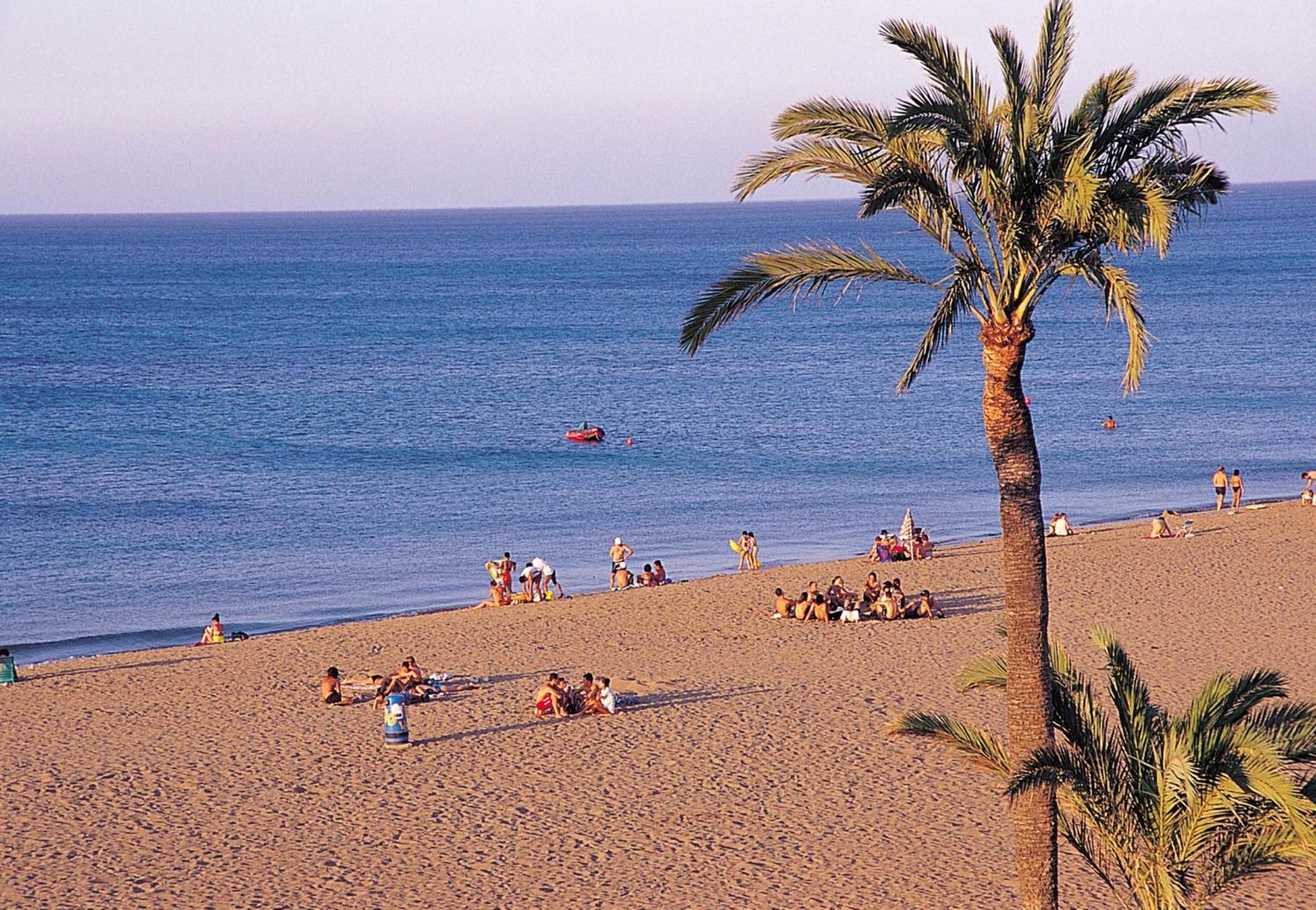 LAS PERLAS - 1º Linea view 5