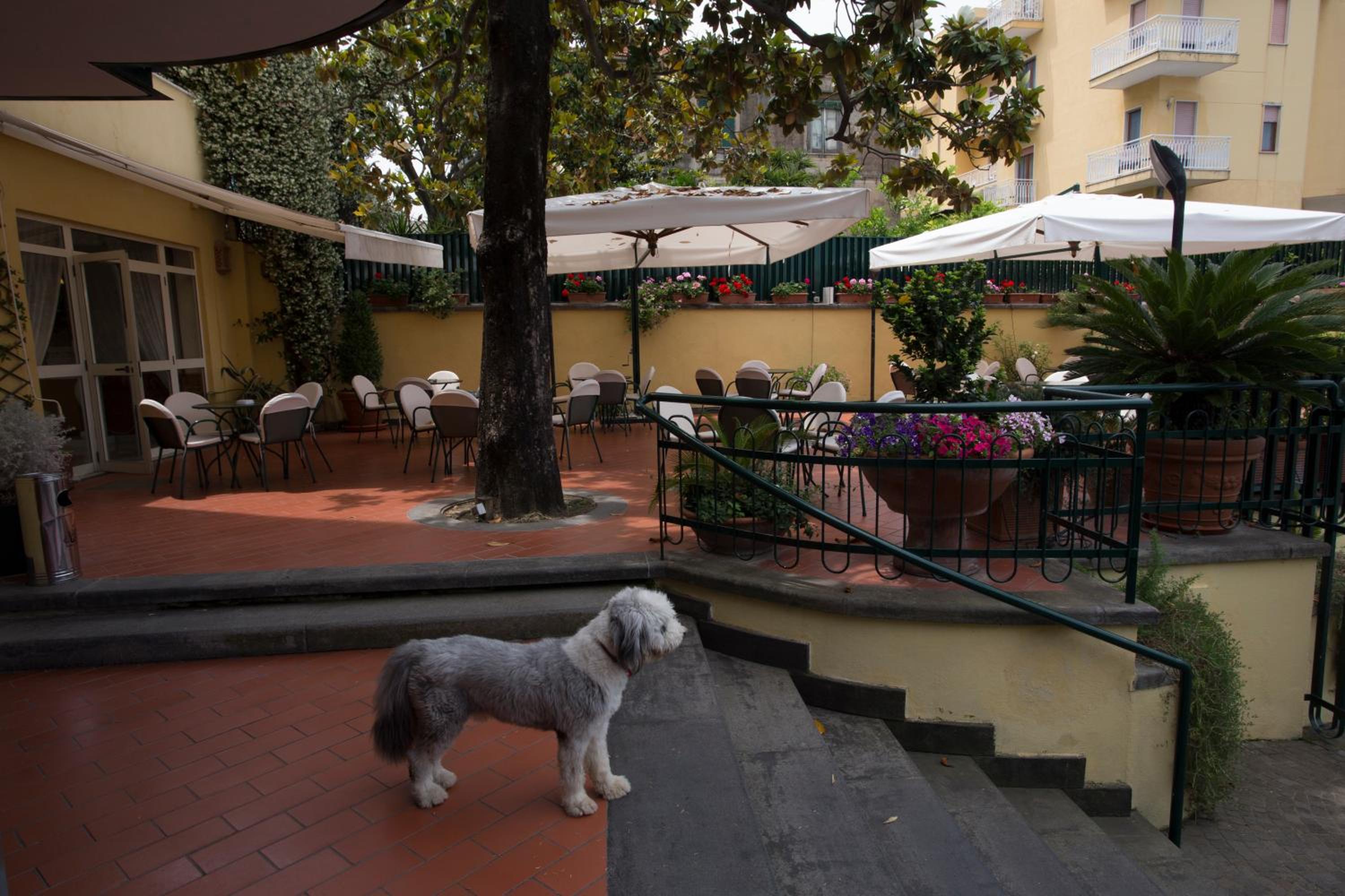 Hotel Villa Serena, photo 10