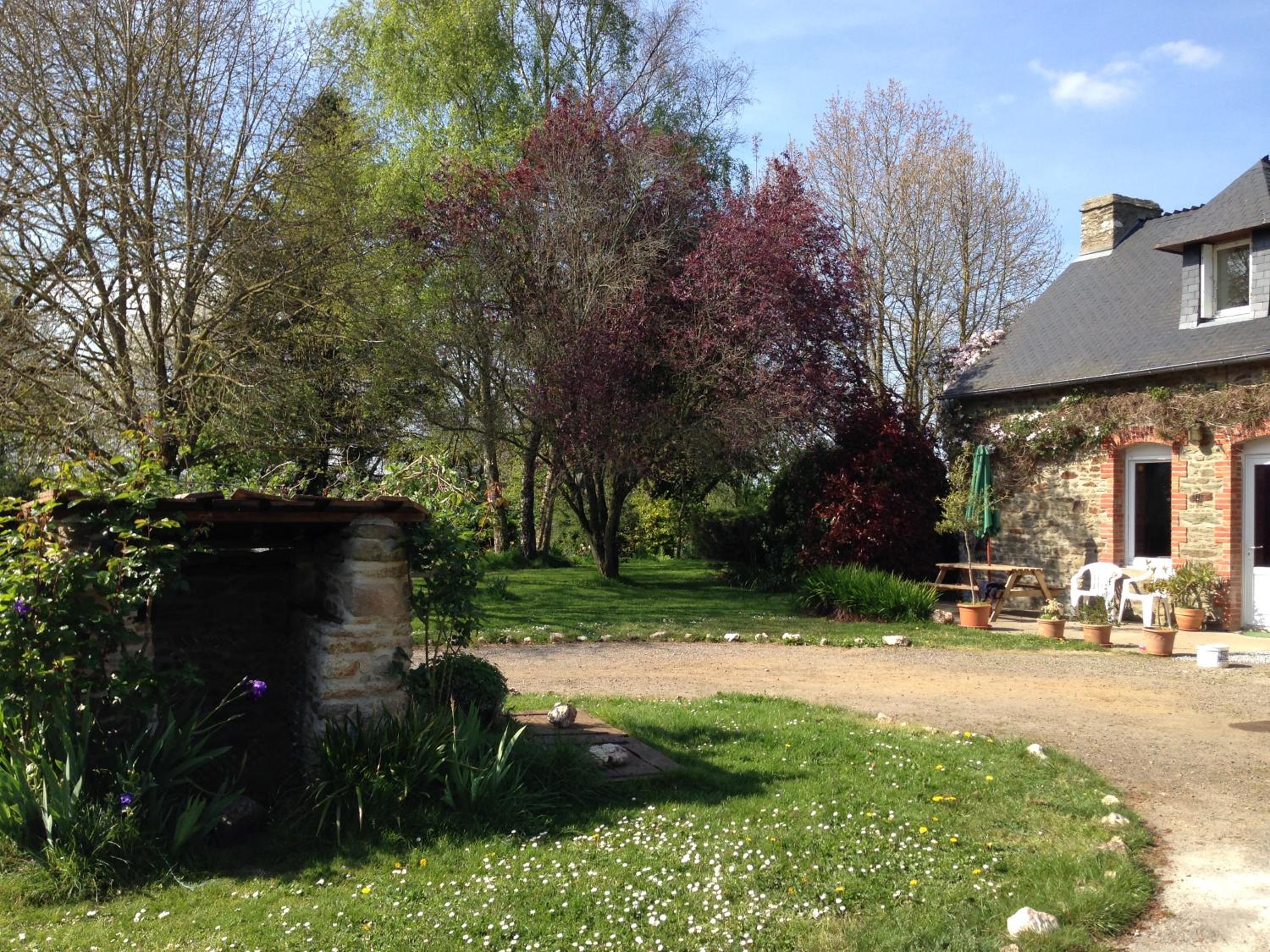 Photo 11