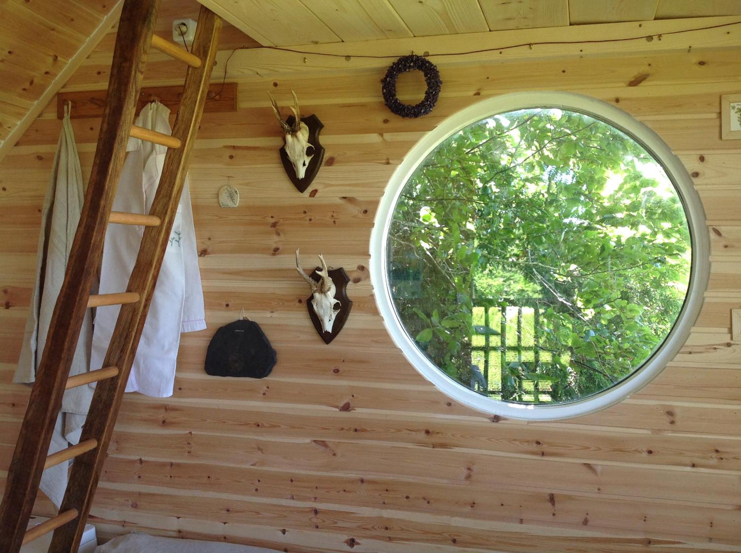 Treehouse escape