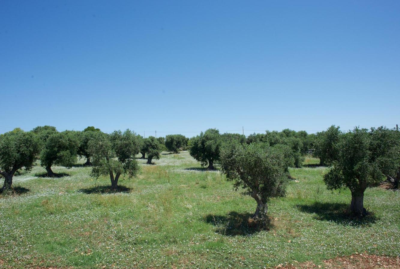 Trullo Maddy view 3
