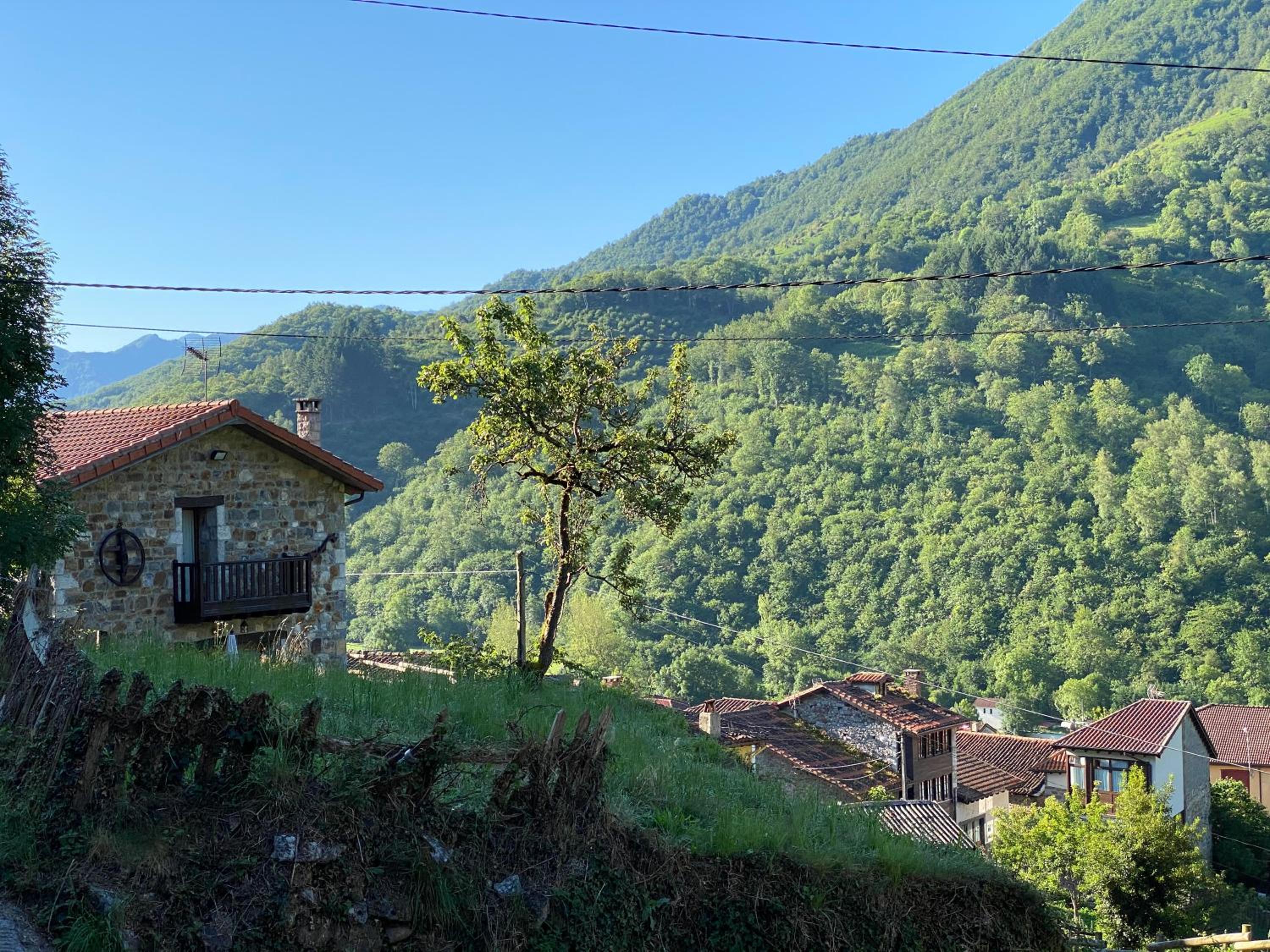 llar de Cosme view 3