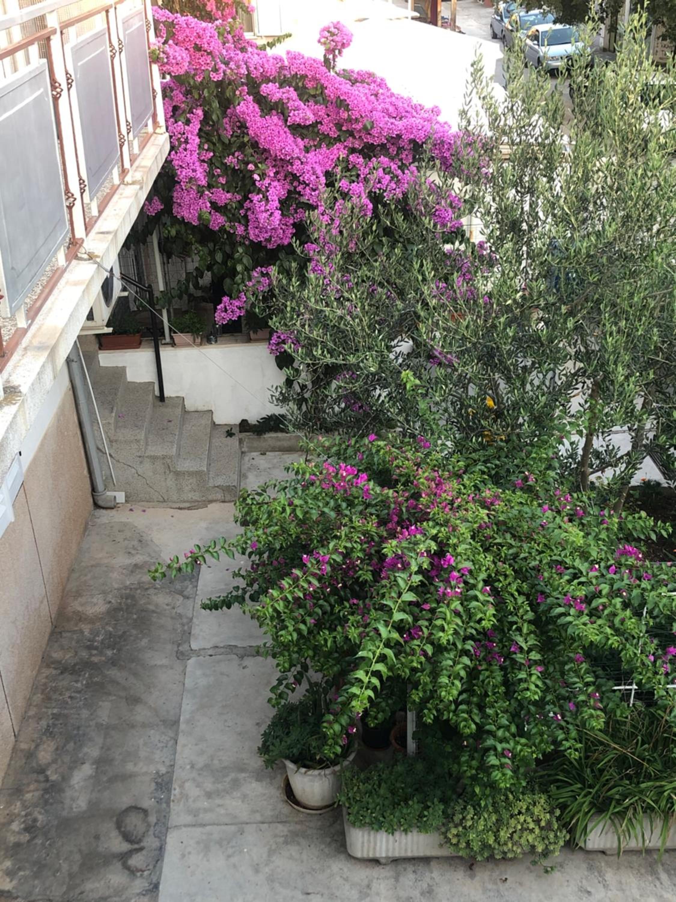 Photo 39
