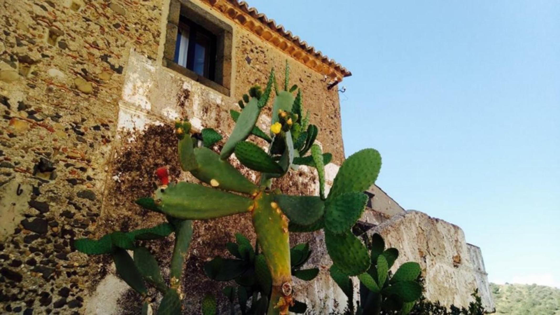 Il Borgo Country Resort view 3