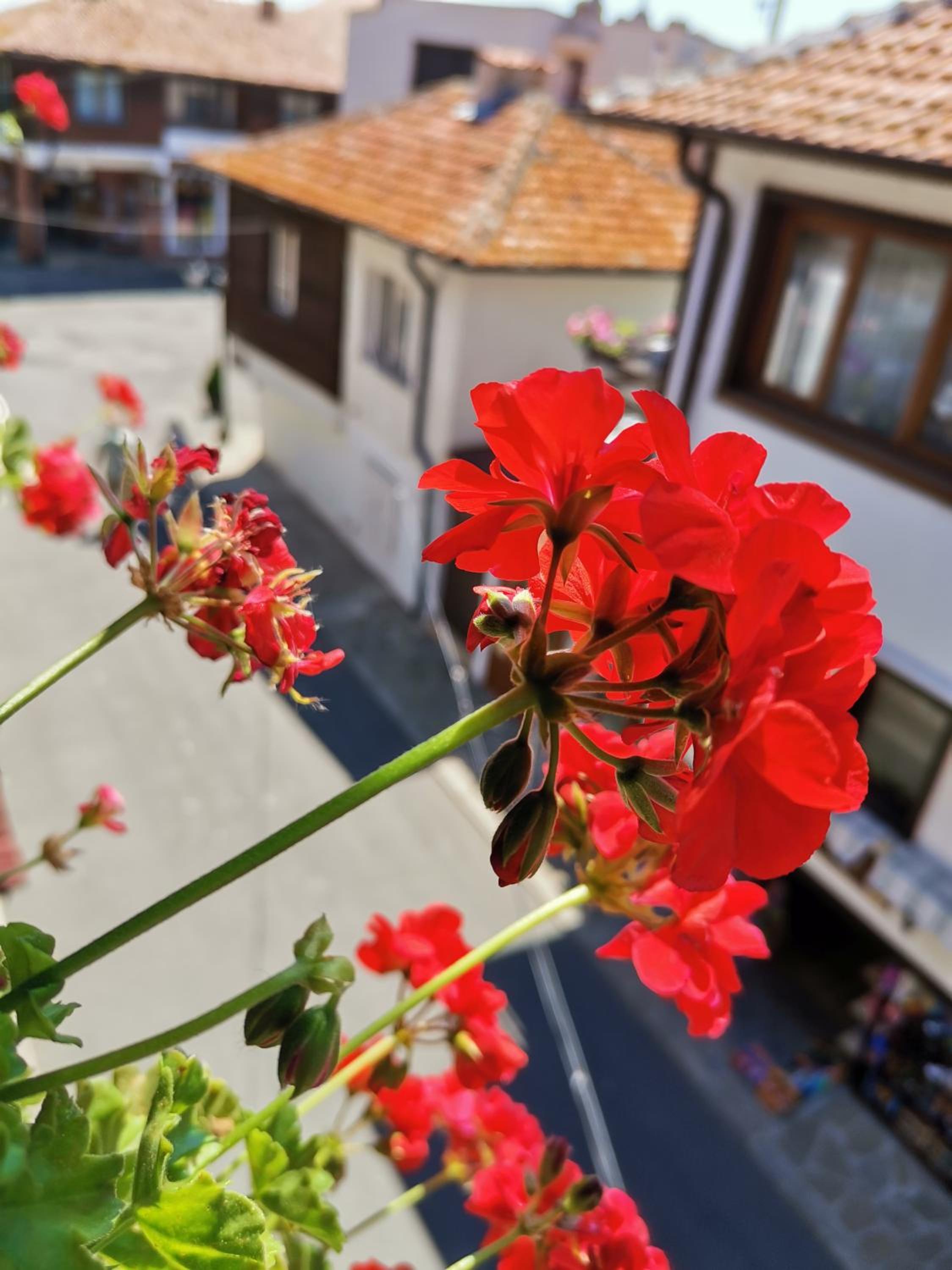 Guest Rooms Melsambria