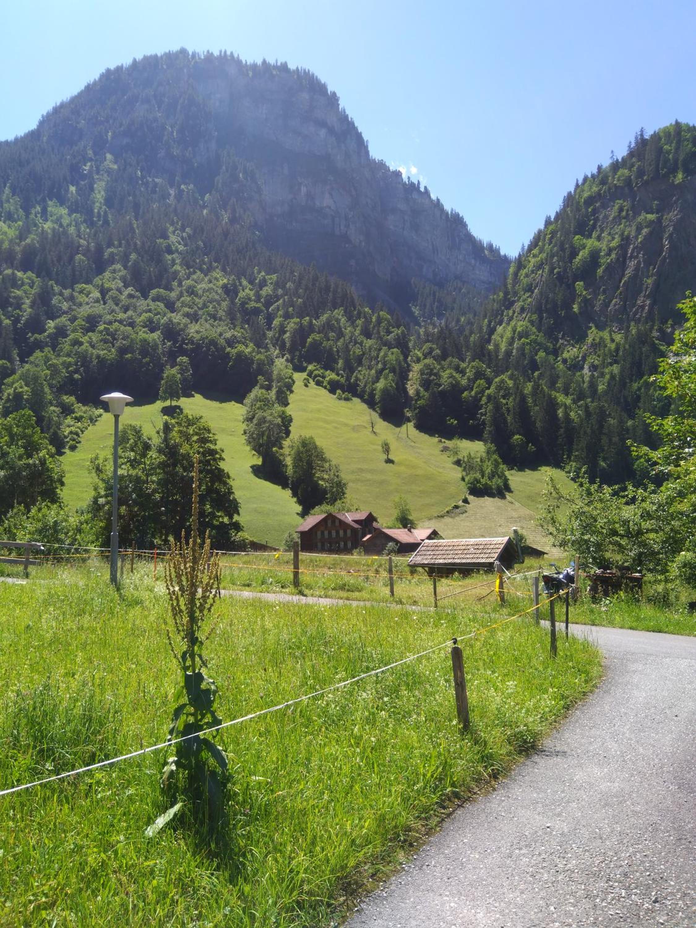 Ferien Cottage Flüehblüemli