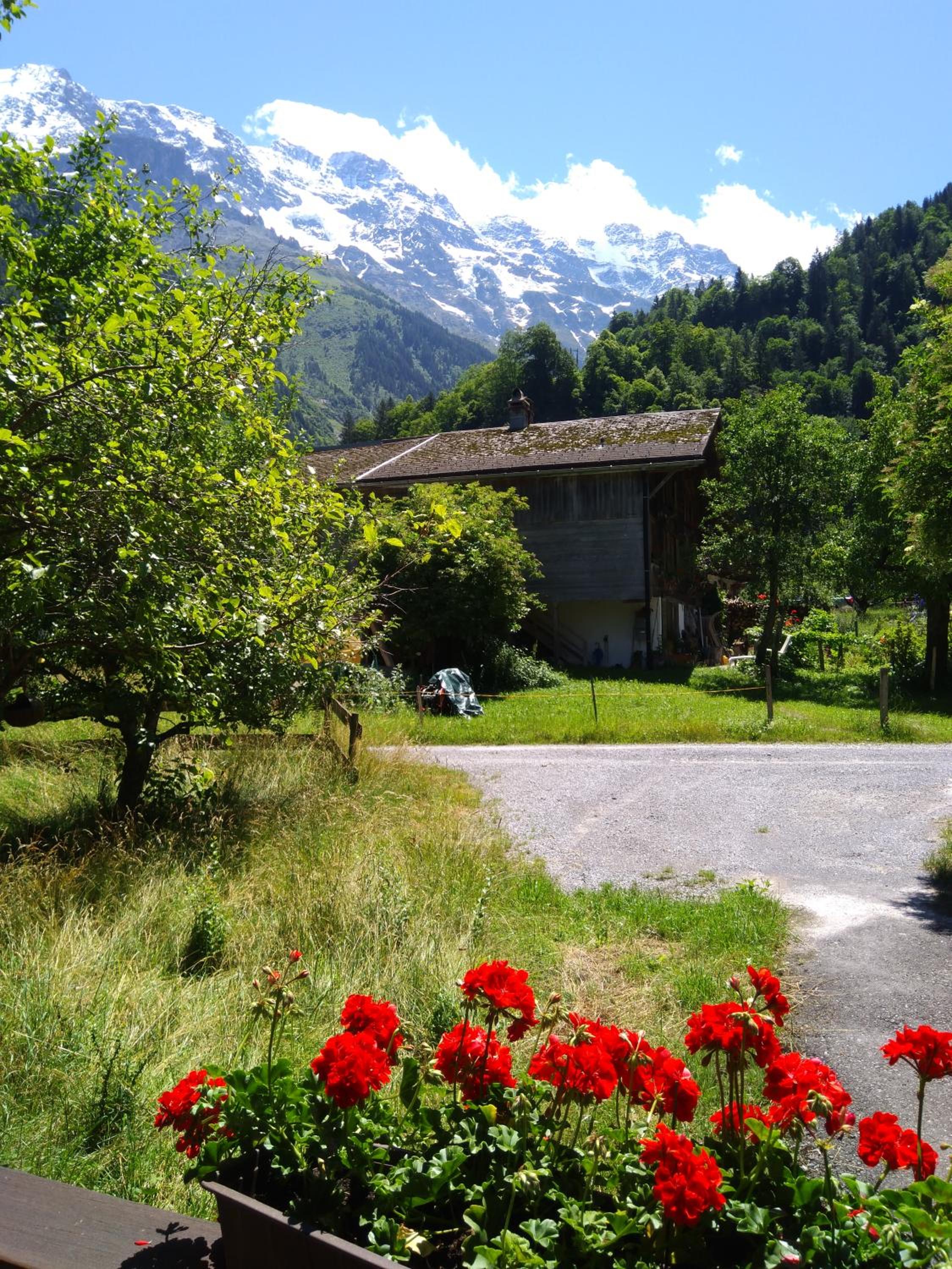Ferien Cottage Flüehblüemli