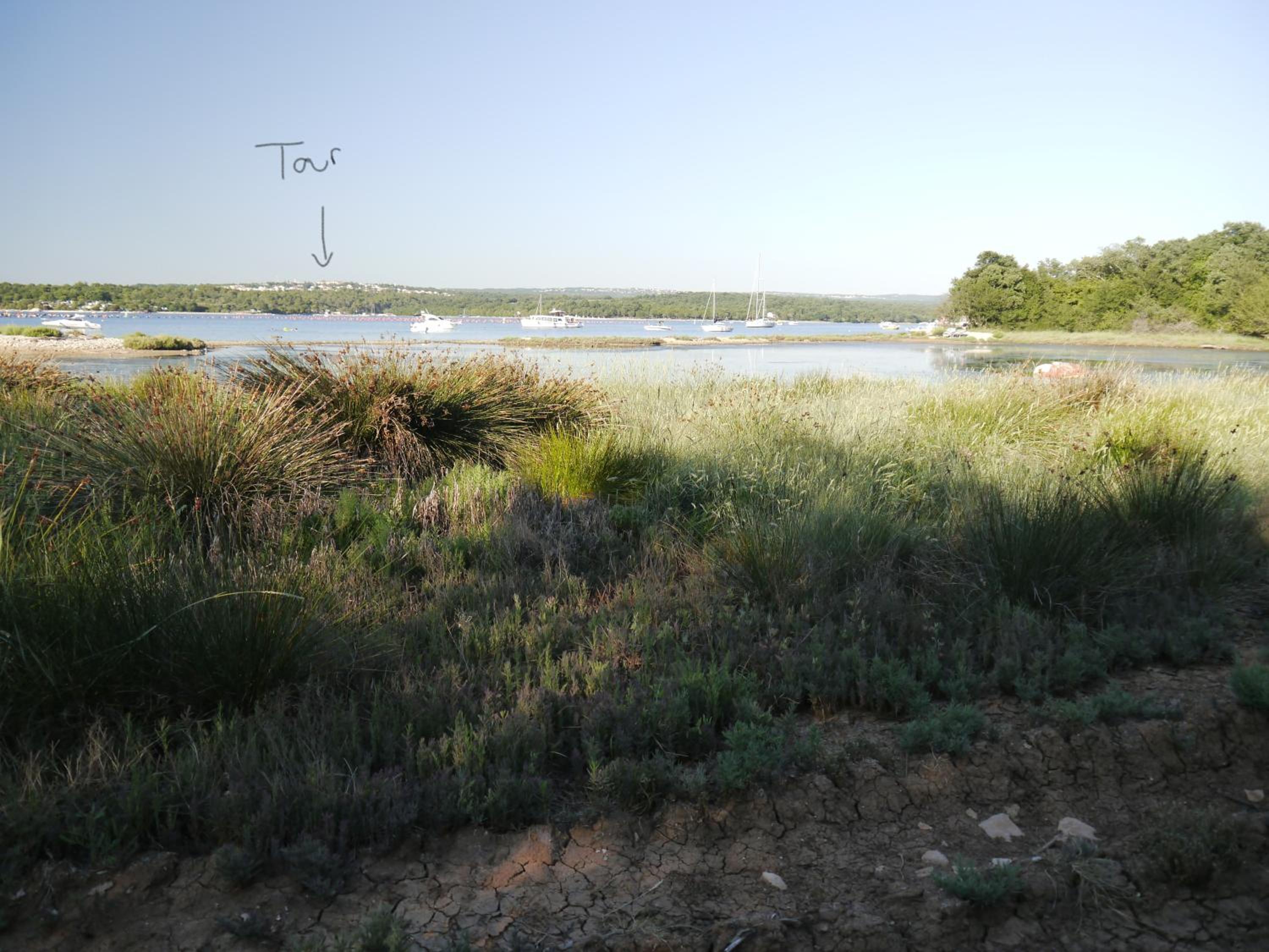 Apartments Judit view 5
