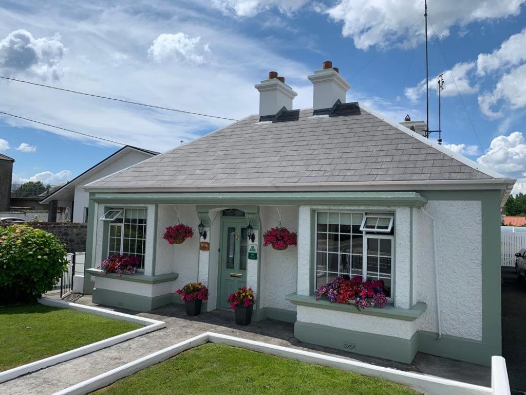 Oak Lodge Portumna view 5