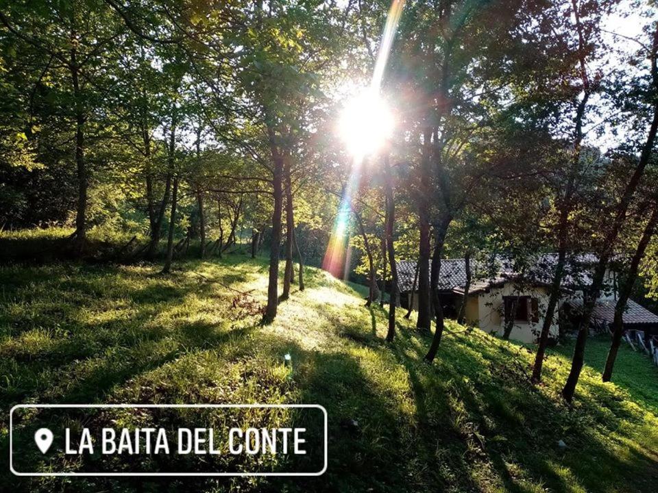 LA BAITA DEL CONTE view 5