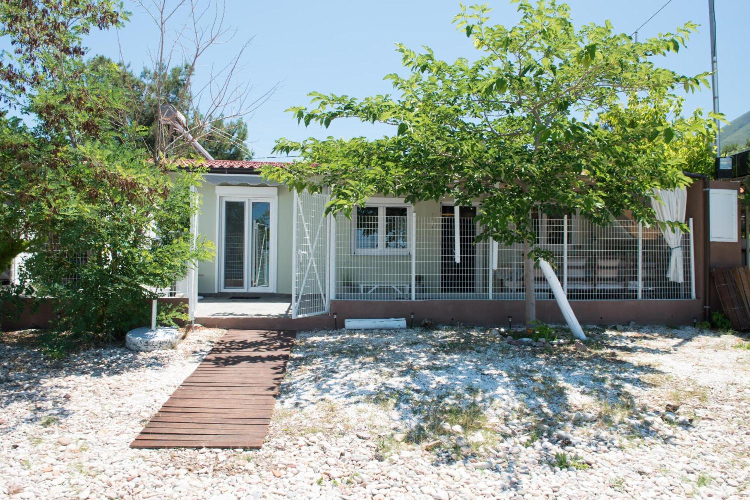 Photo 11