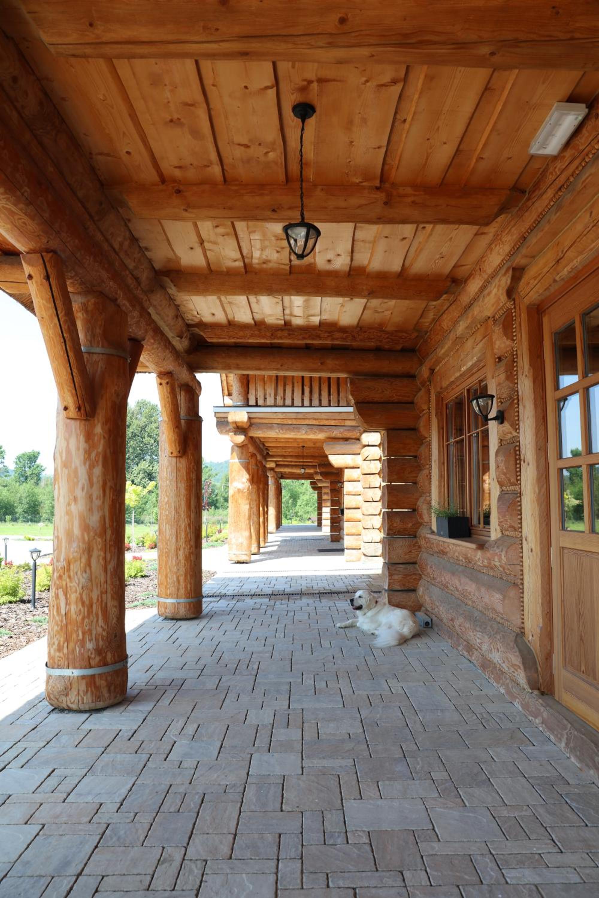 Photo 43