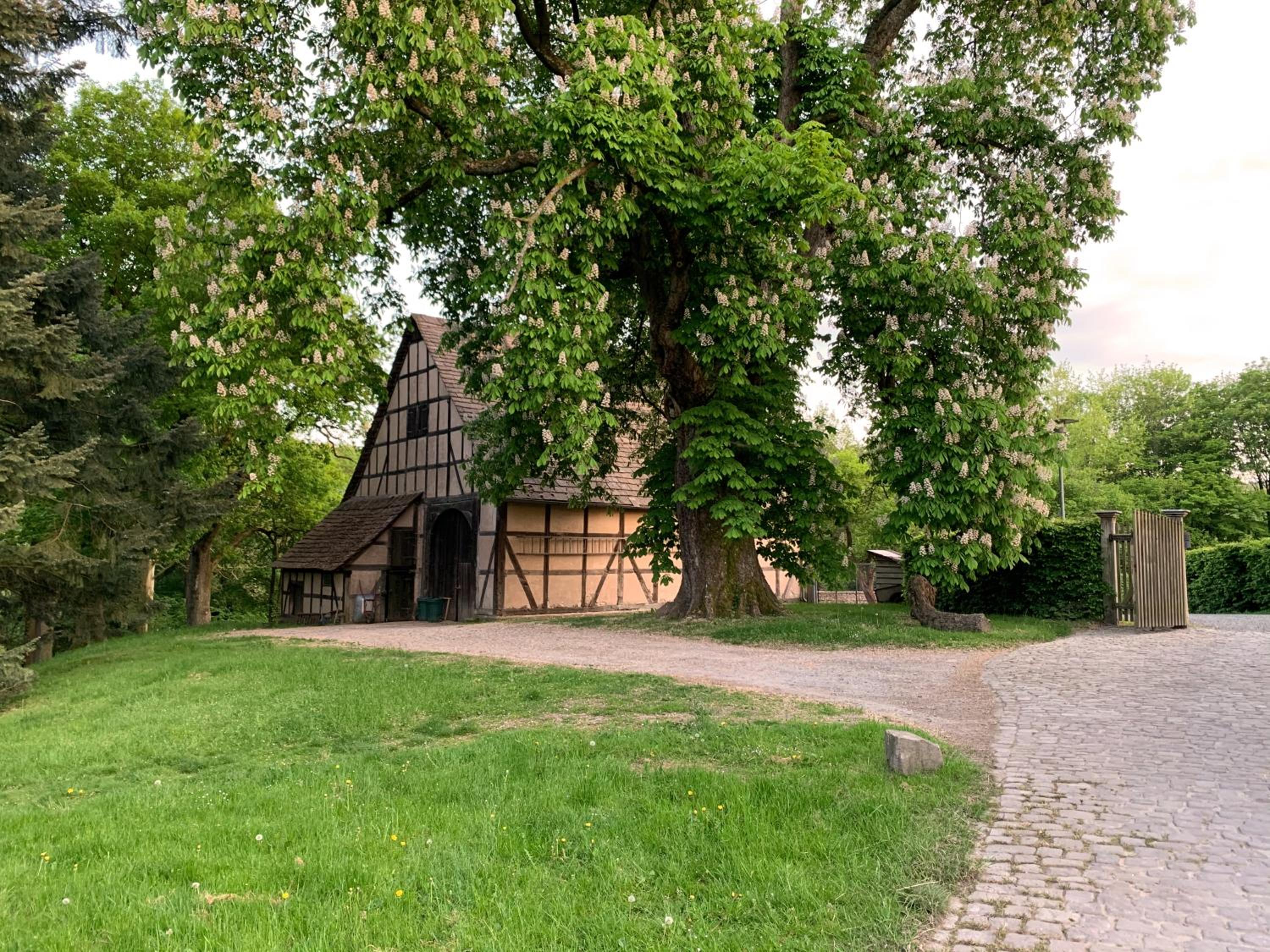 Schlössliches Ambiente mitten in der Natur