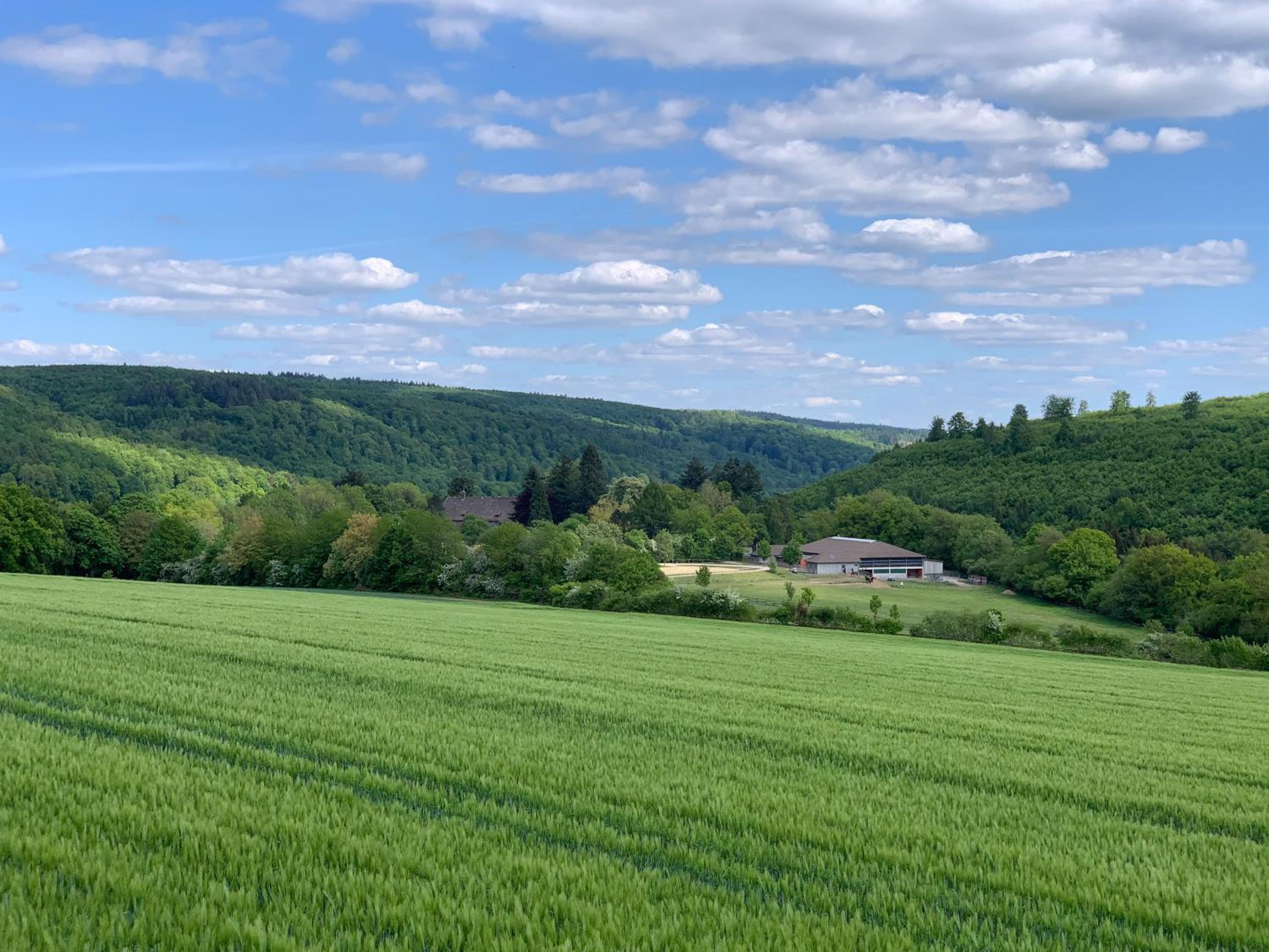 Schlössliches Ambiente mitten in der Natur