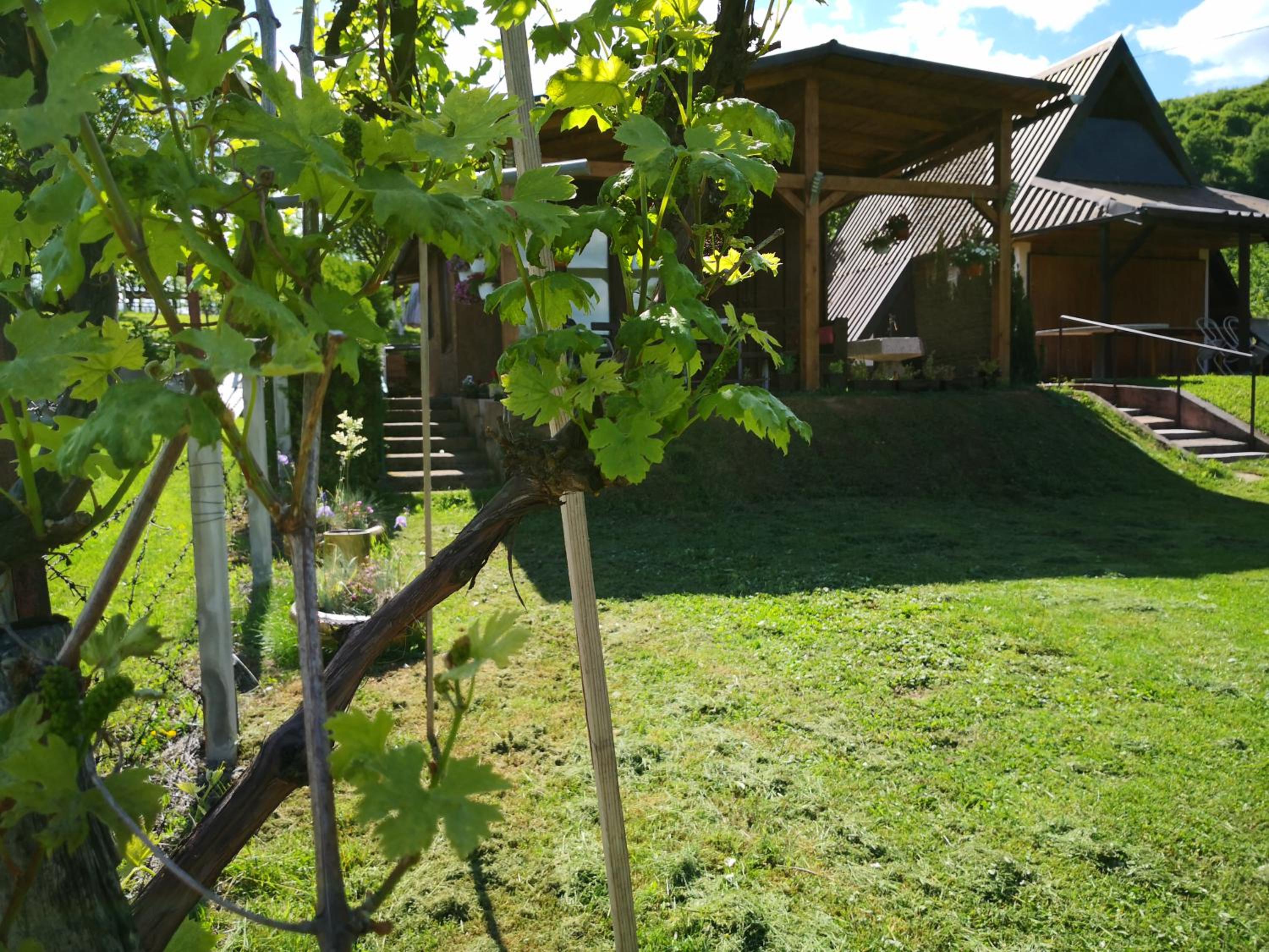 Holiday Home Dragon