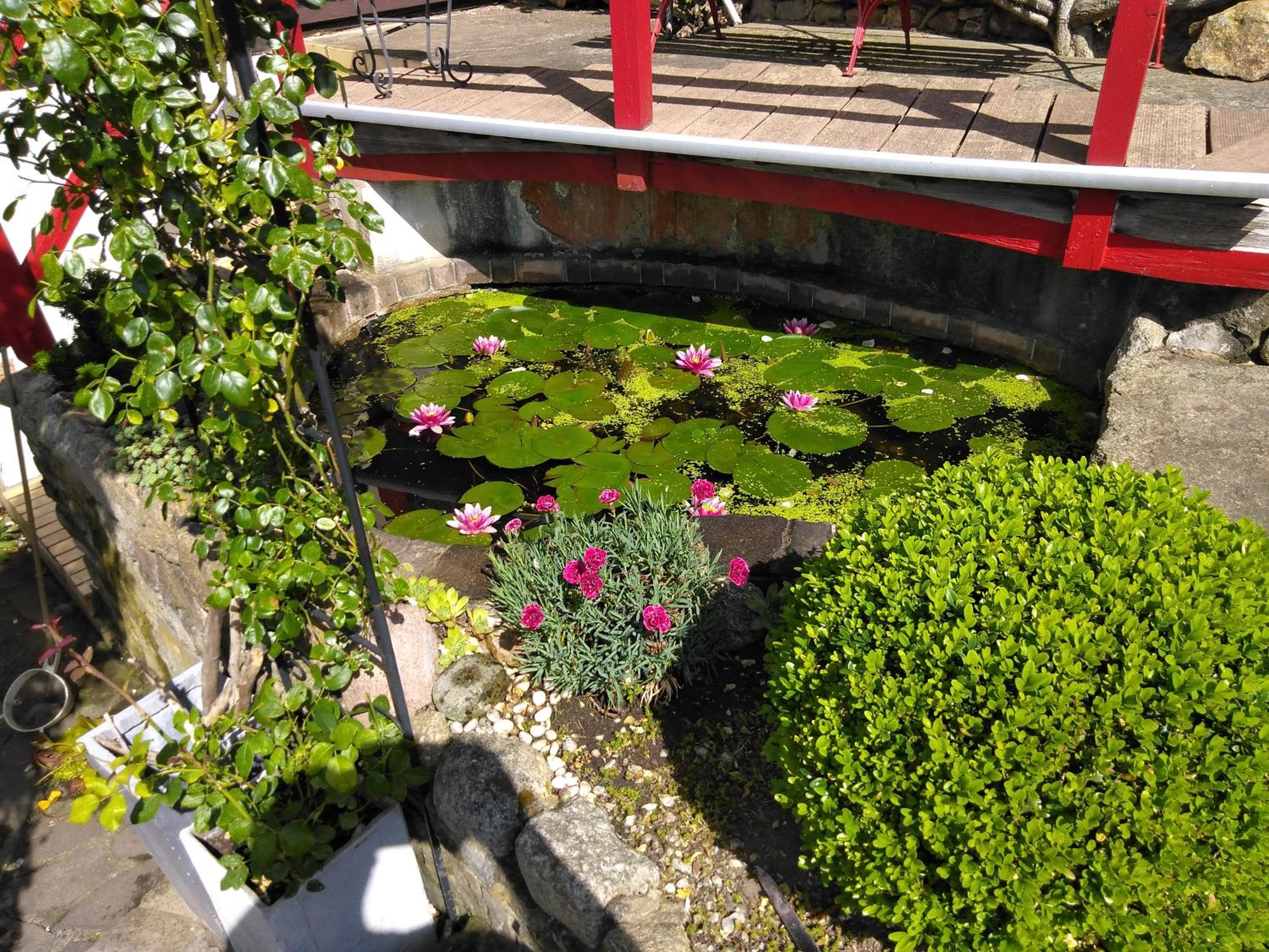 Urlaub im Fachwerkhaus