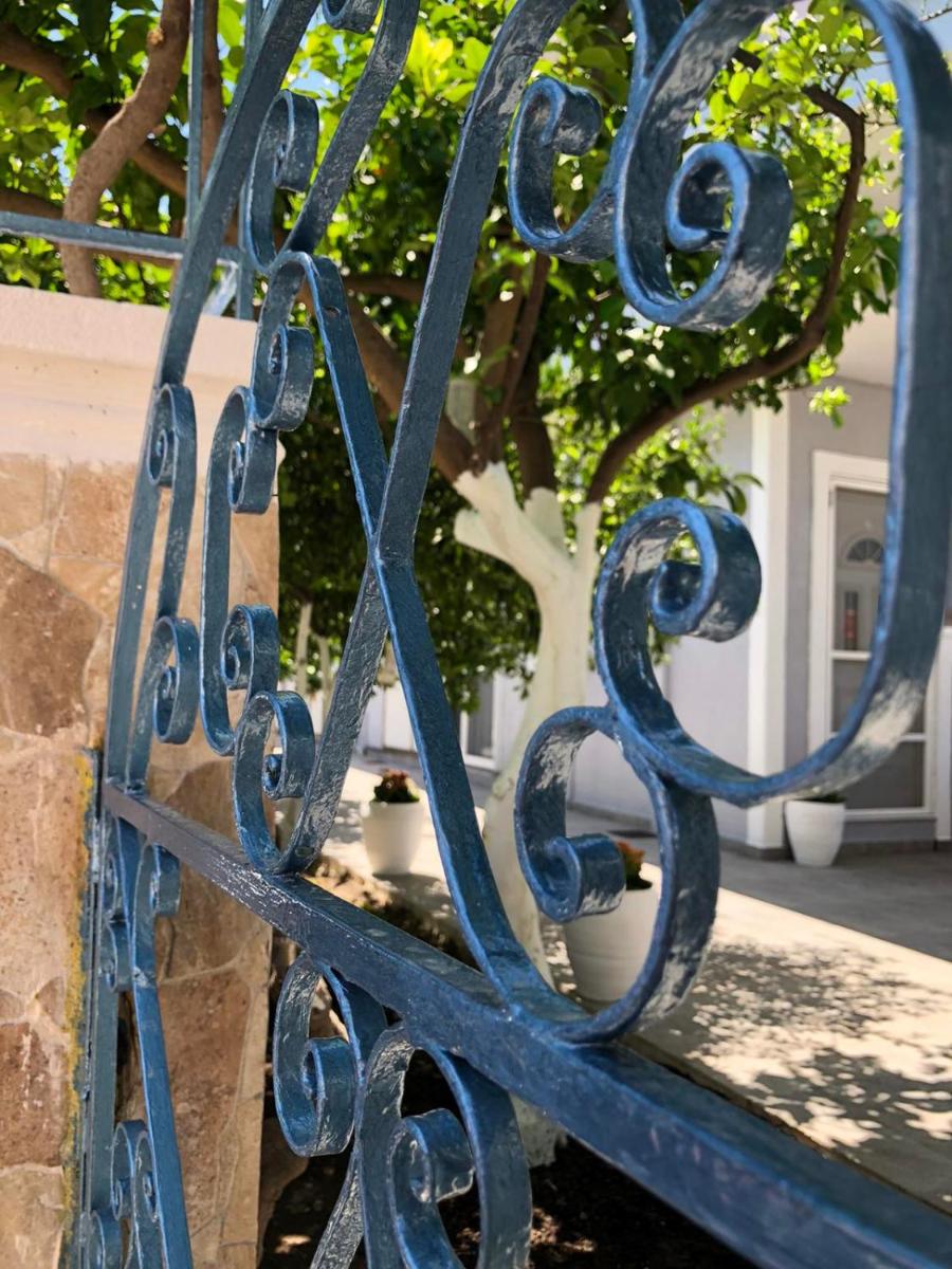 Photo 8
