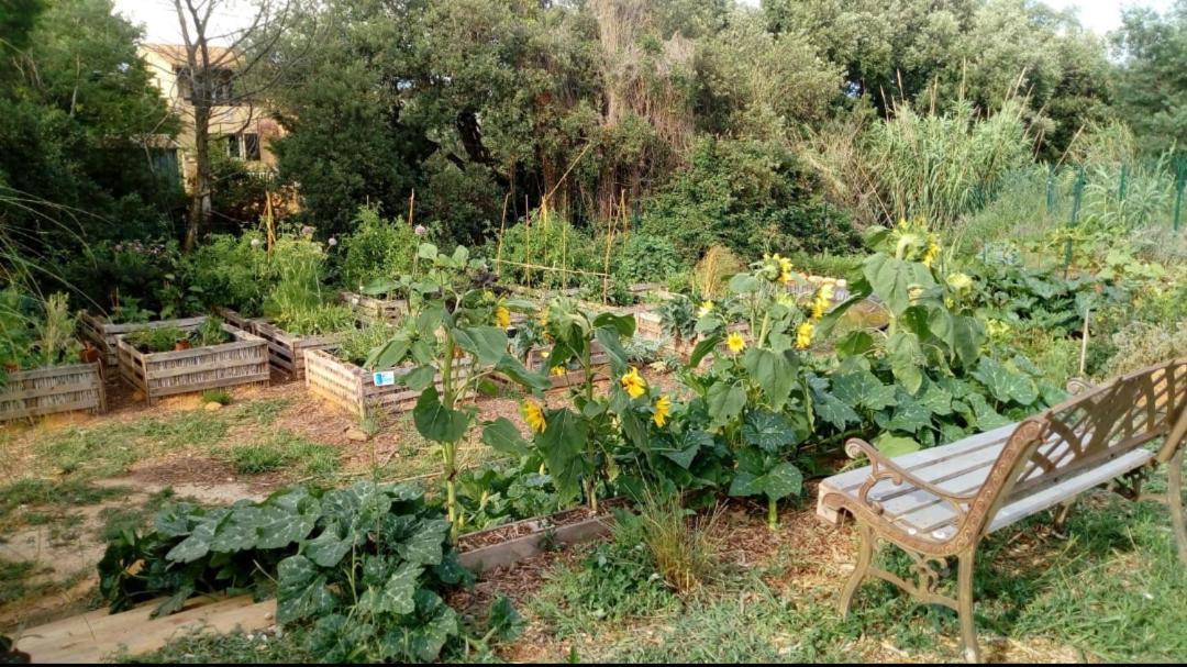 Photo 11