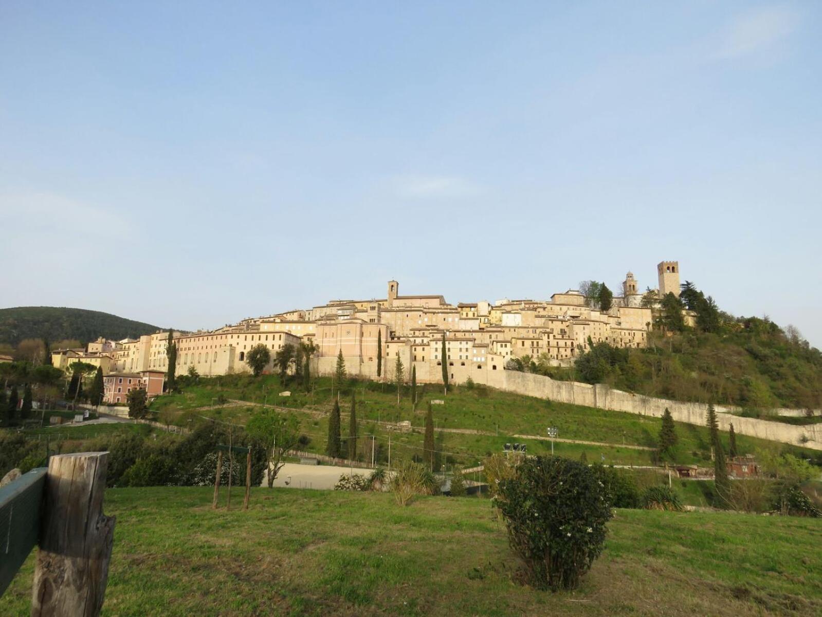 IL BUSSETO