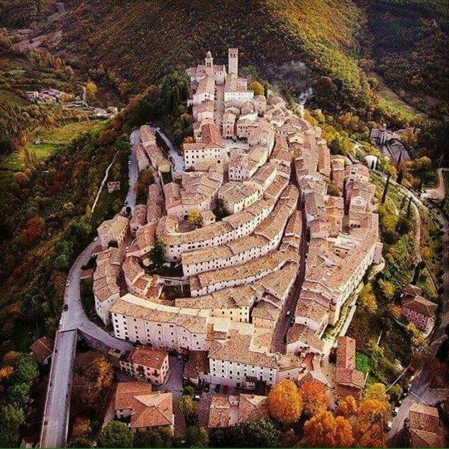 IL BUSSETO