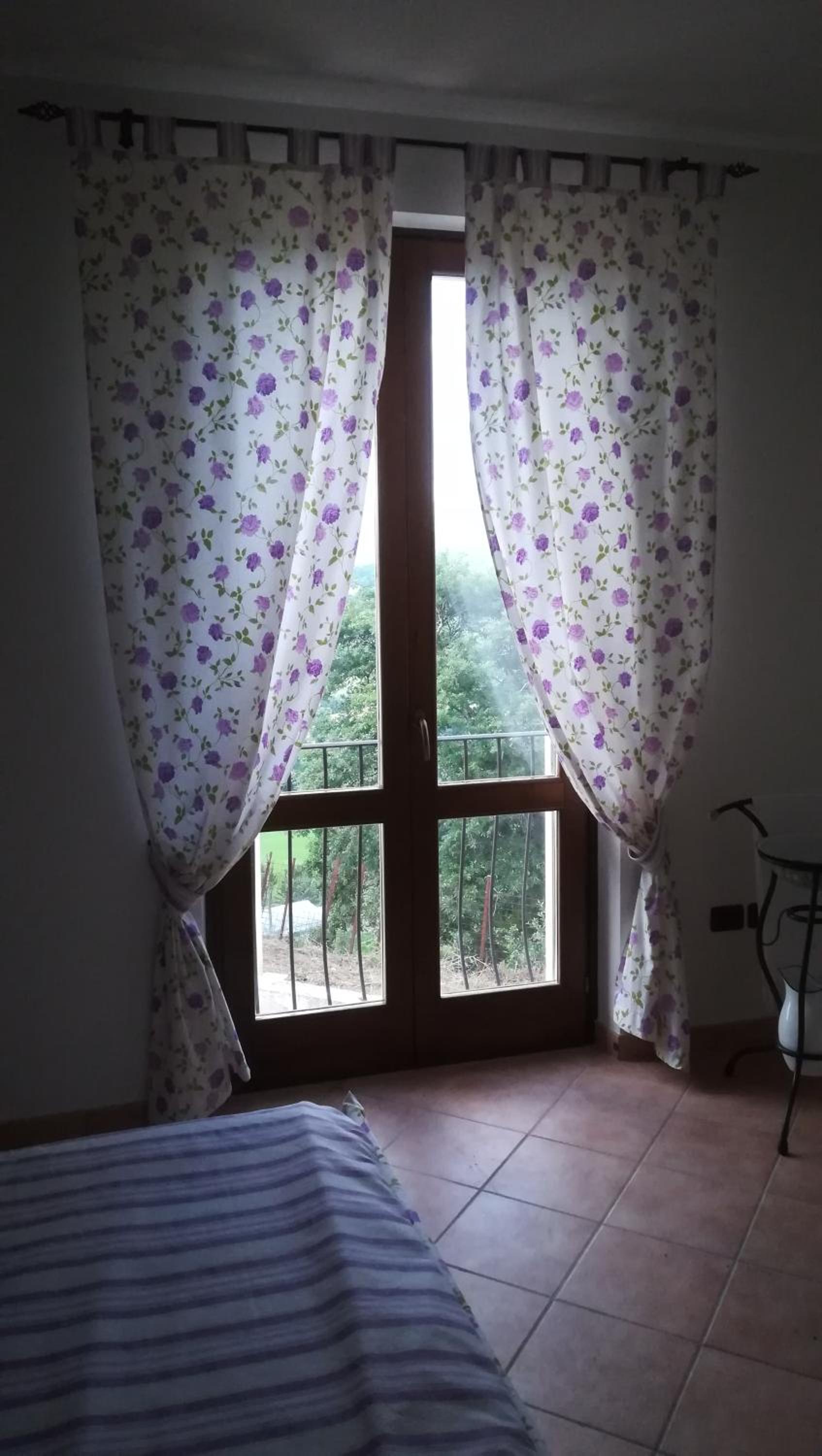 IL BUSSETO
